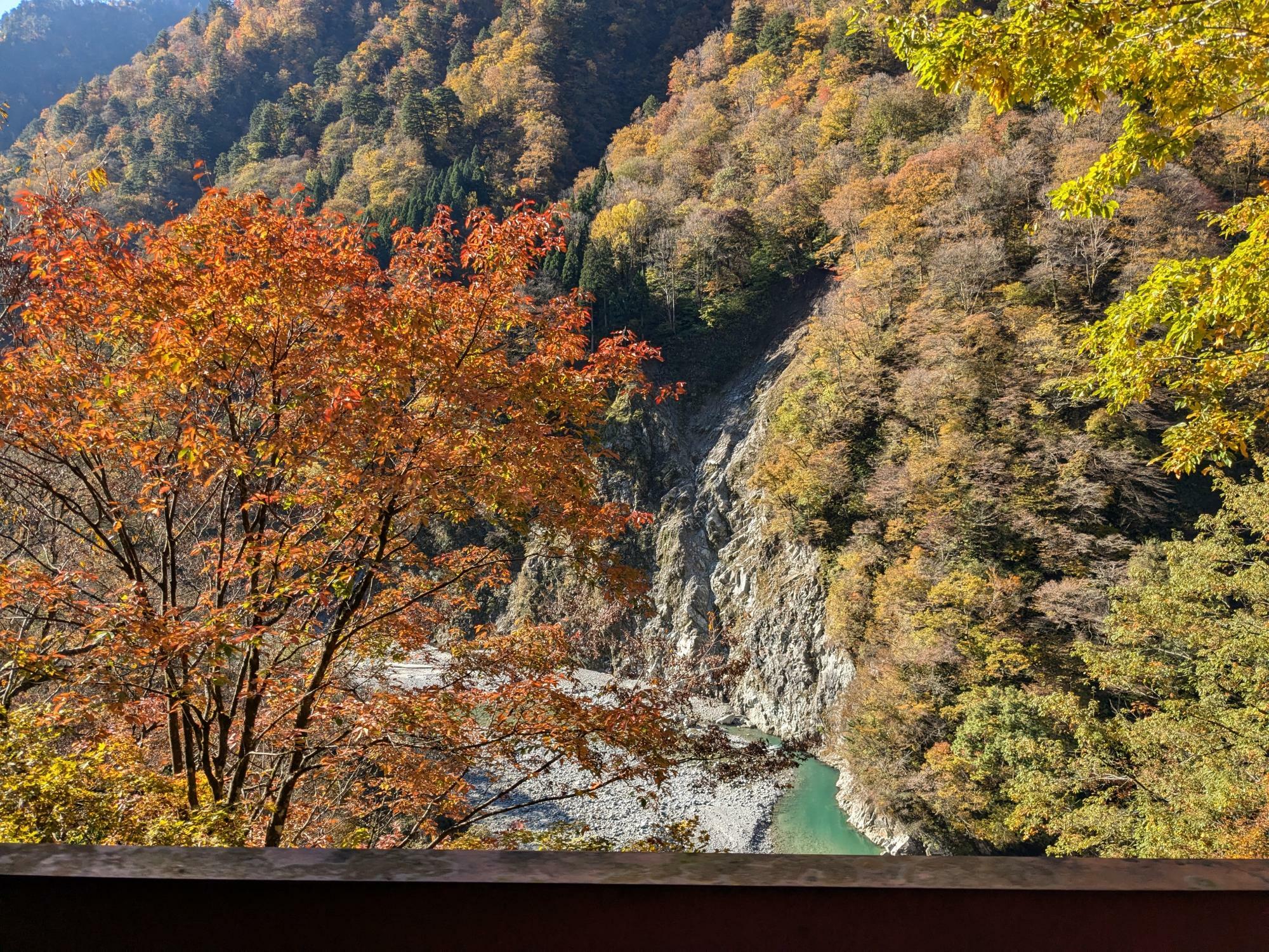 黒部峡谷の紅葉