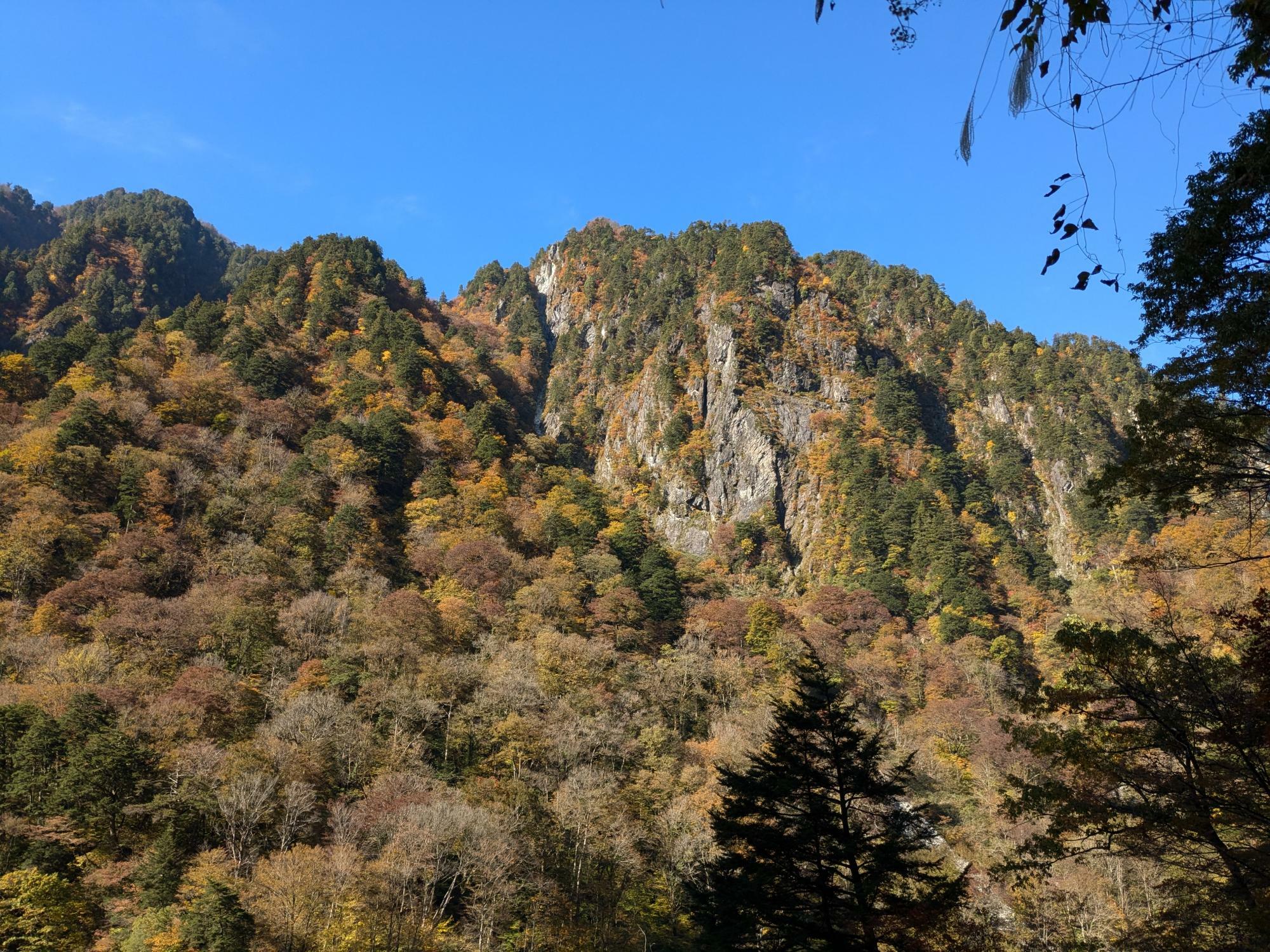 ねずみ返しの岸壁