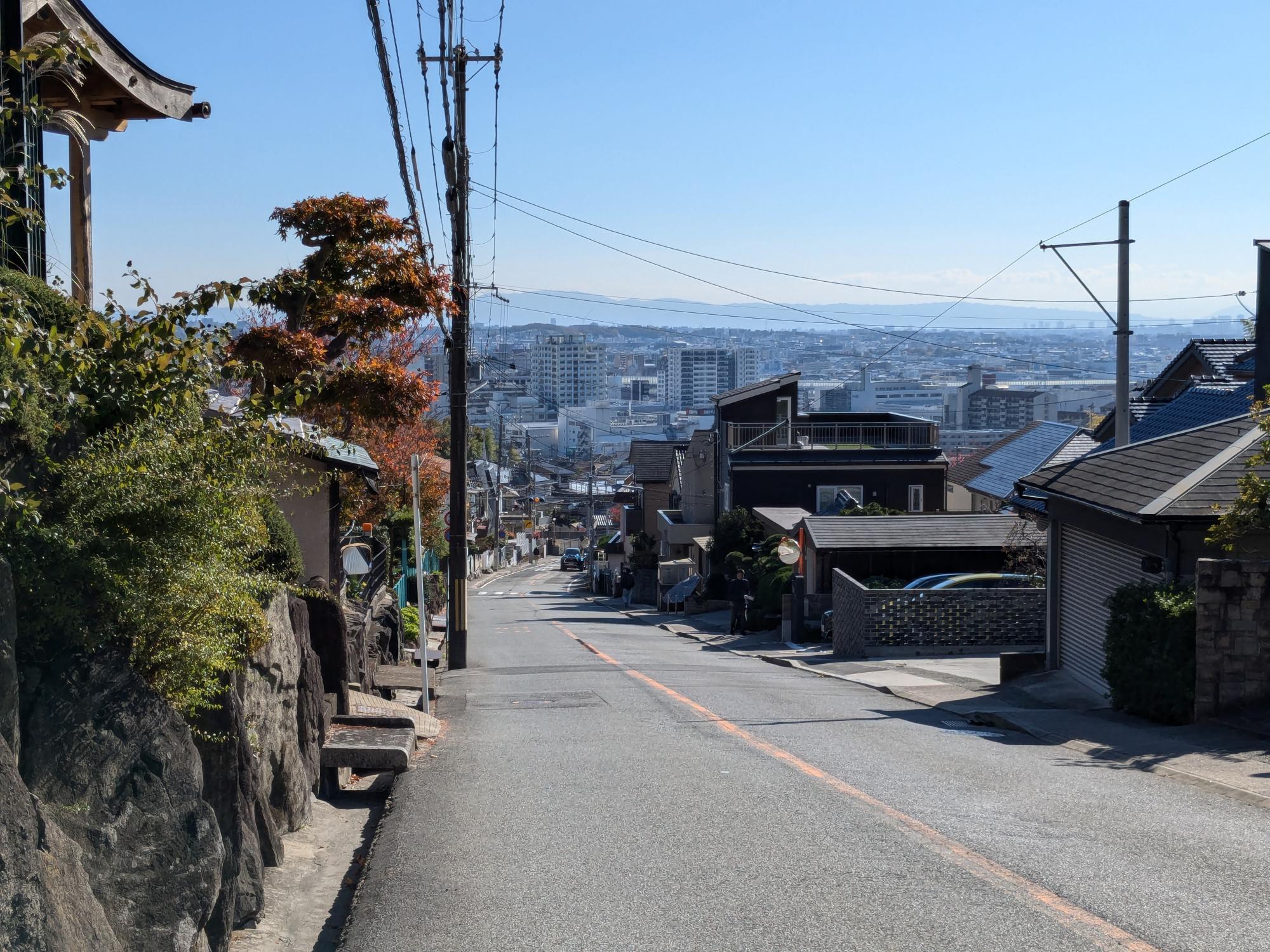 花屋敷～つつじが丘間より坂下を望む