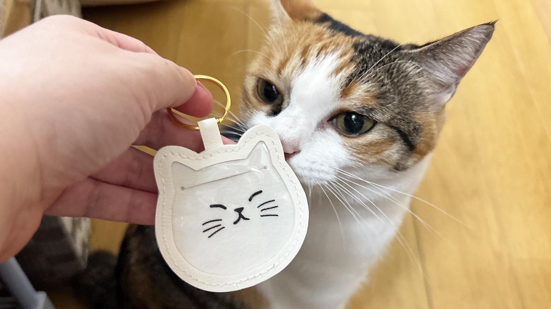 三 ぐでねこチャン チャーム ミケ猫 毛 猫 の キーホルダーの通販
