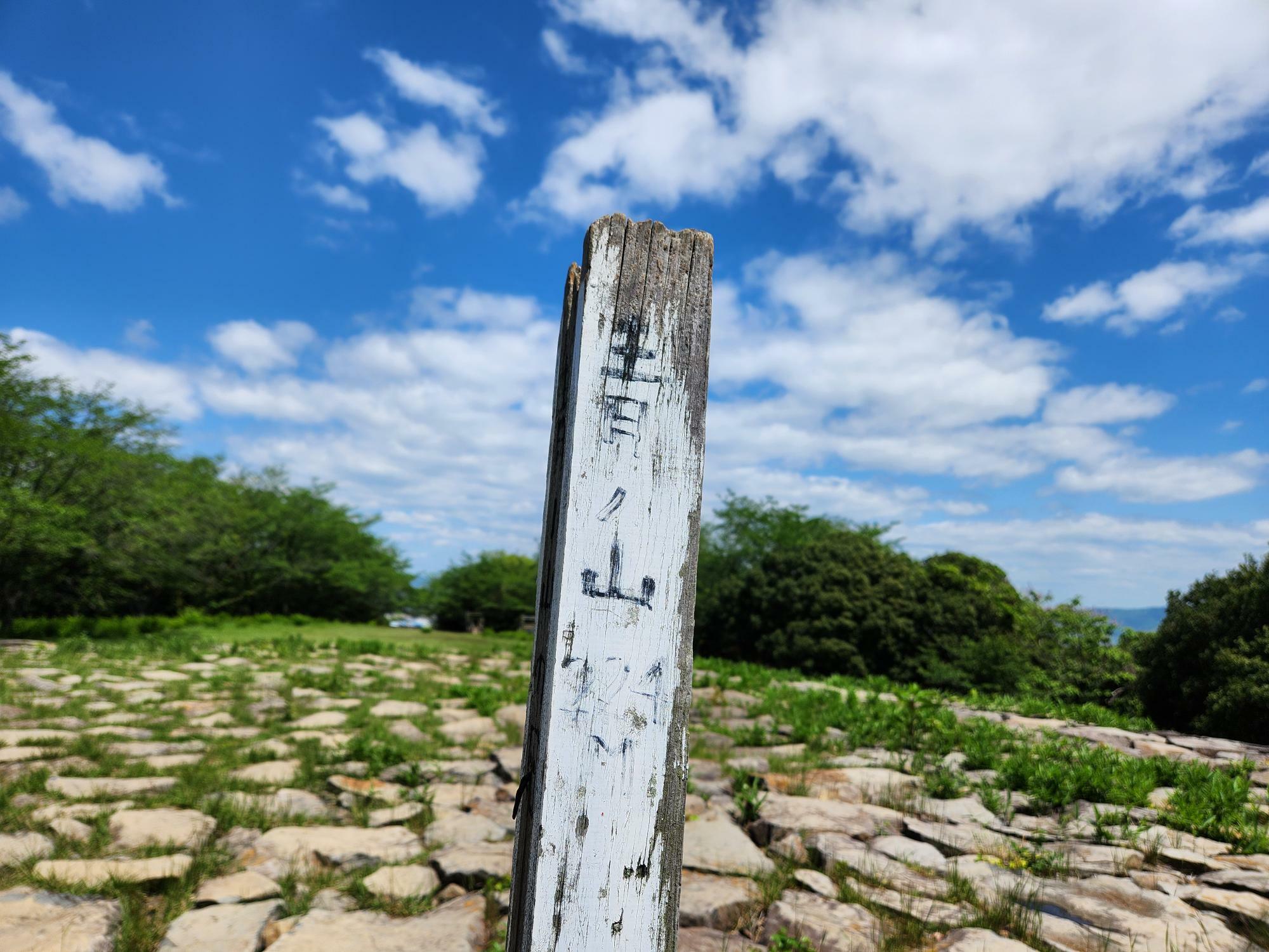 うっすらと224mと書かれているのが確認できます。