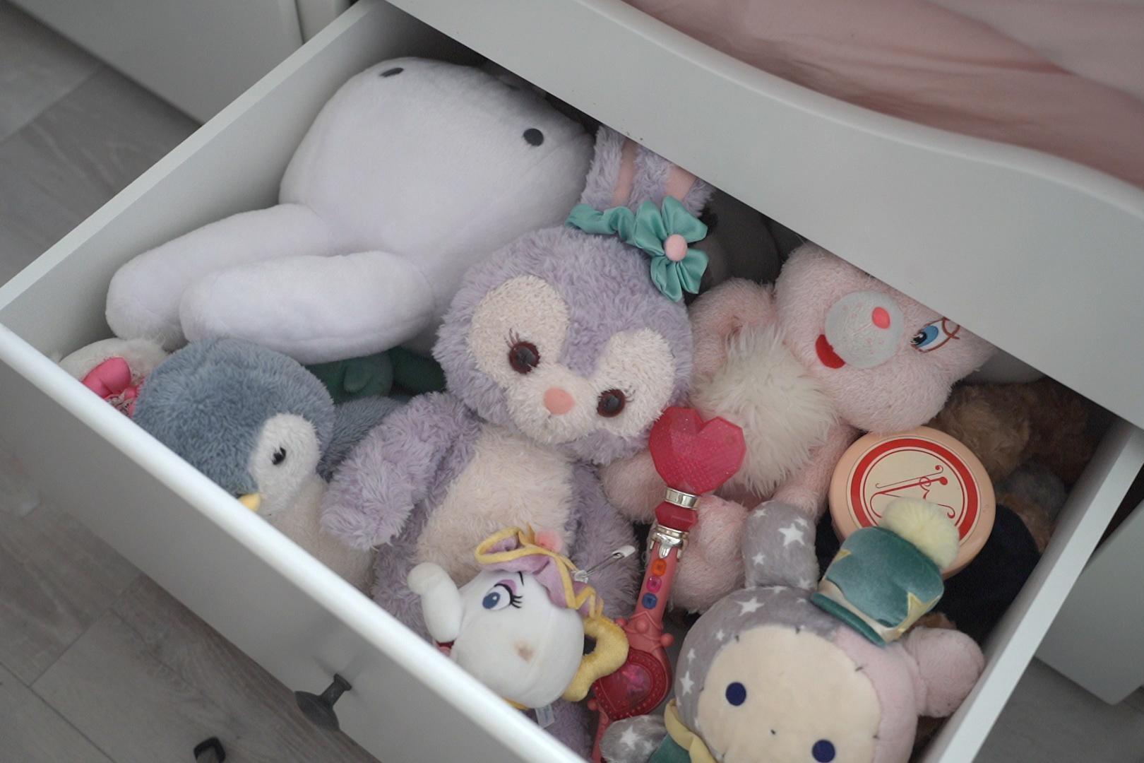 只今断捨離中 確認用 L 2024 Edition: Tidying up your cupboard with throwing things