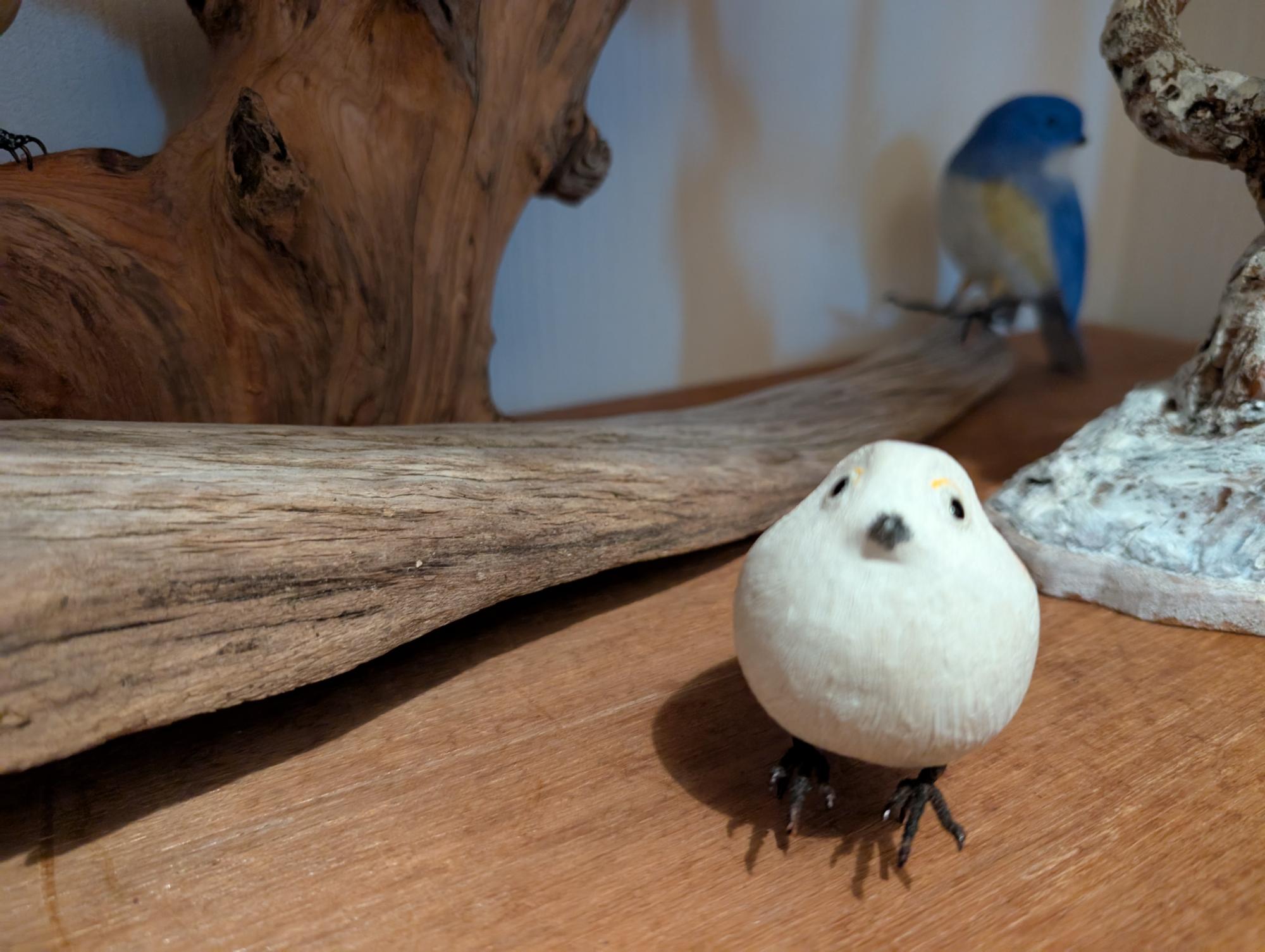 小さなバードカービング ロビン(ヨーロッパコマドリ) 野鳥 木彫り