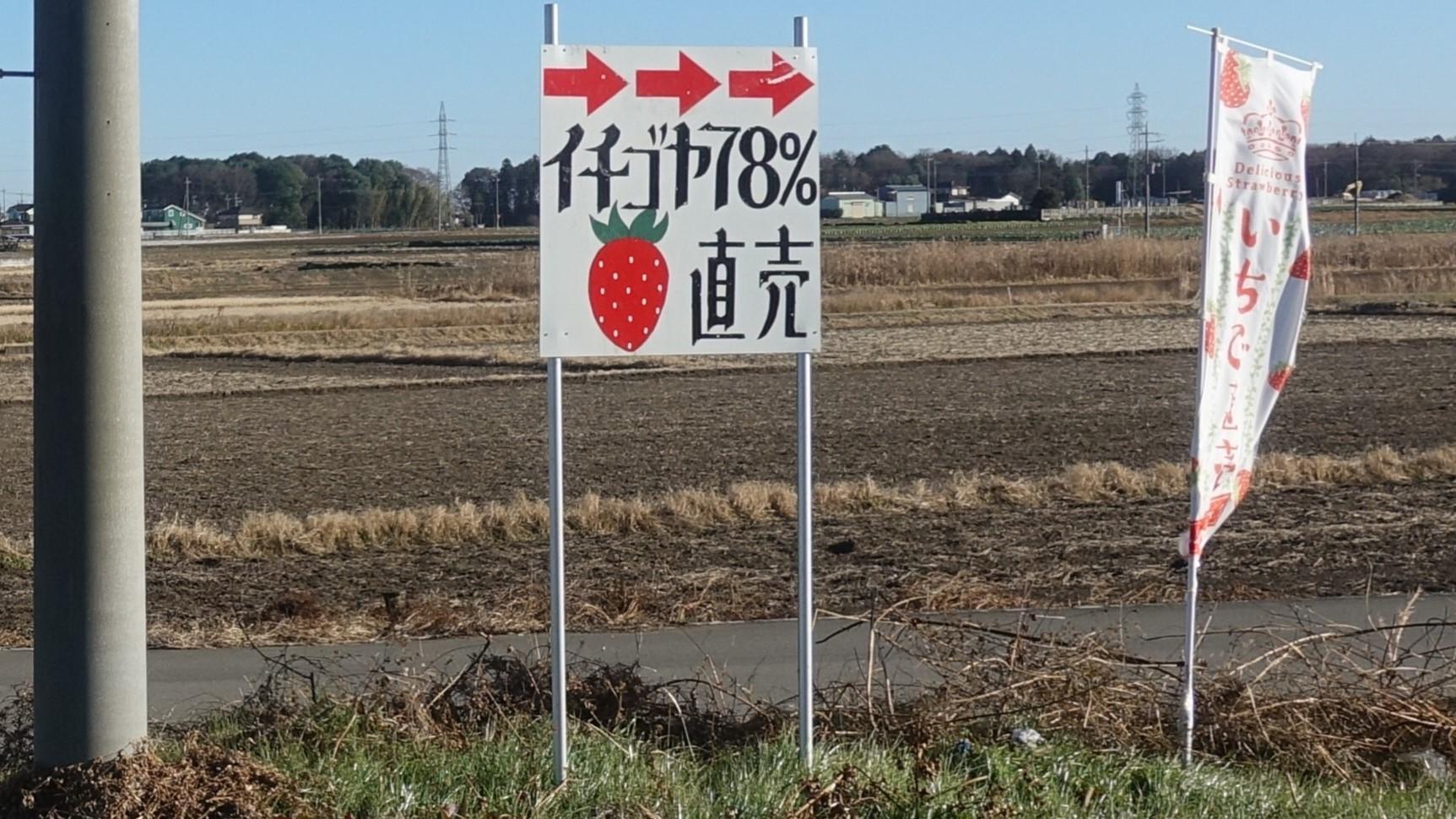 古河市】産地直送! 「イチゴヤ78%」の新鮮いちごが今年も登場 古河市】産地直送! 「イチゴヤ78%」の新鮮いちごが今年も登場