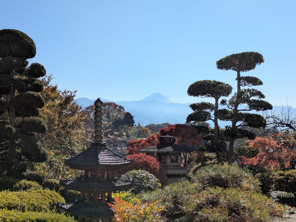 庭からは目の前に富士山の雄姿を見ることができます。