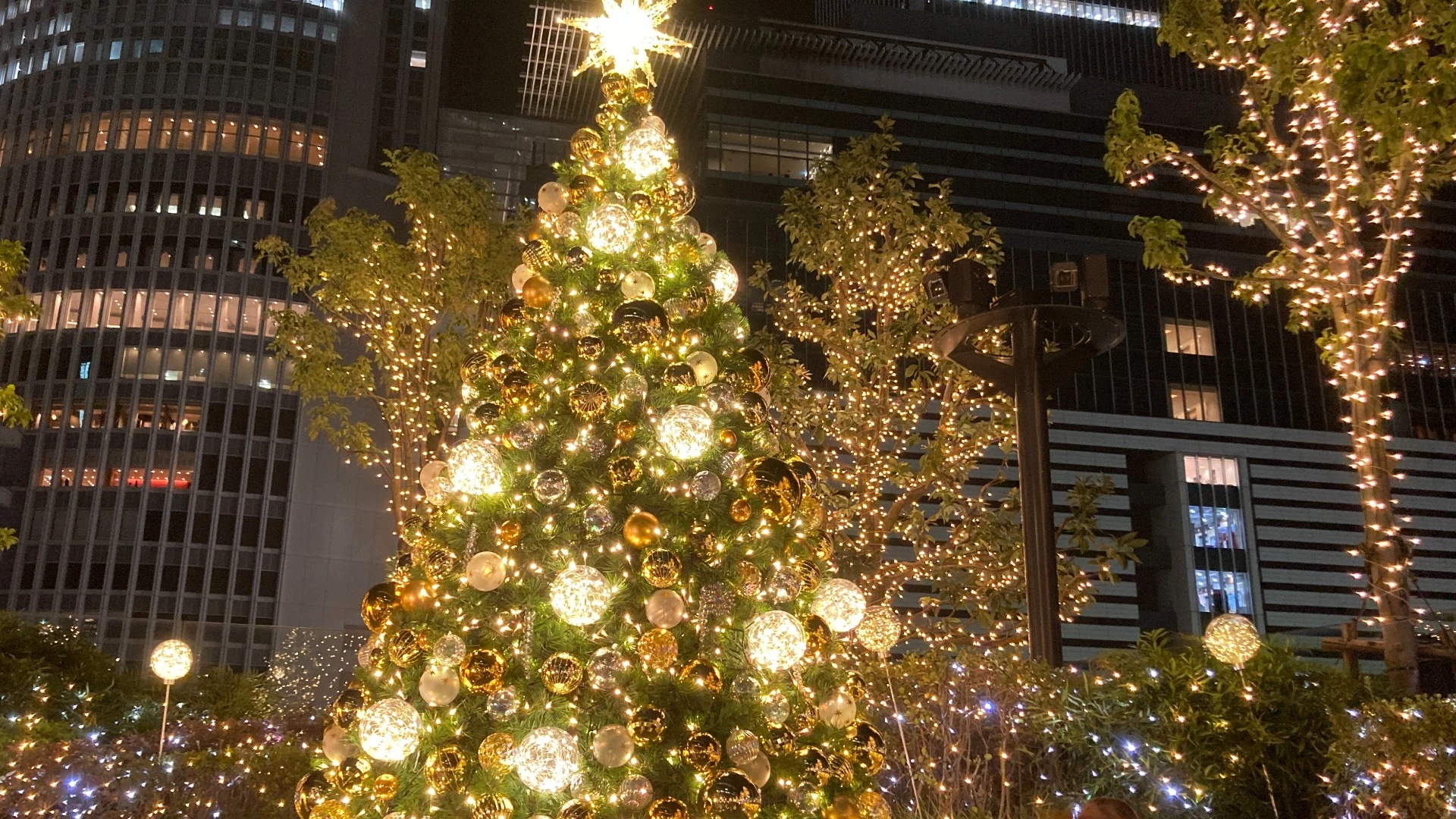 名古屋市中村区】今年のテーマは『シャンパンゴールドクリスマス』大