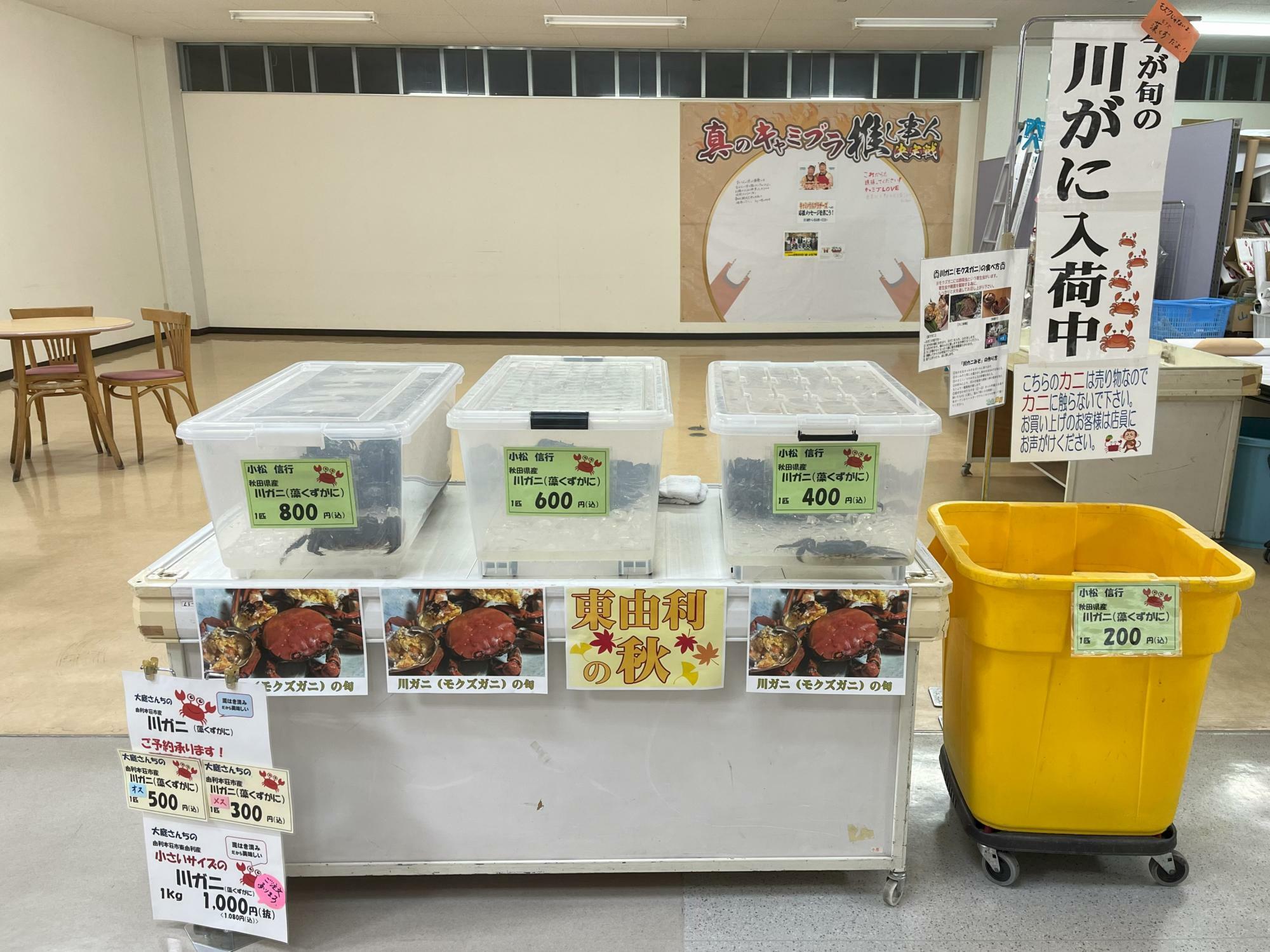 とくさん市場の川ガニ販売コーナー