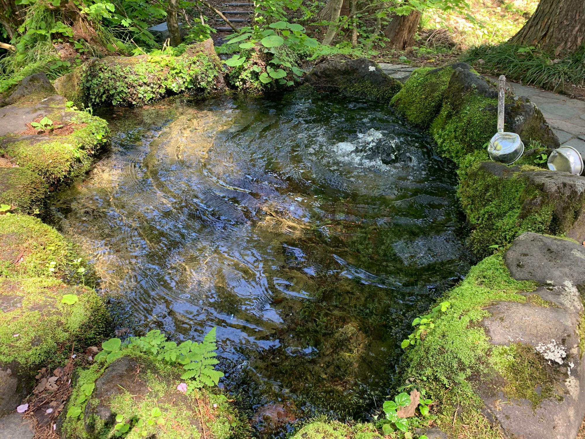 ボツメキ湧水（画像提供：黄桜温泉 湯楽里）