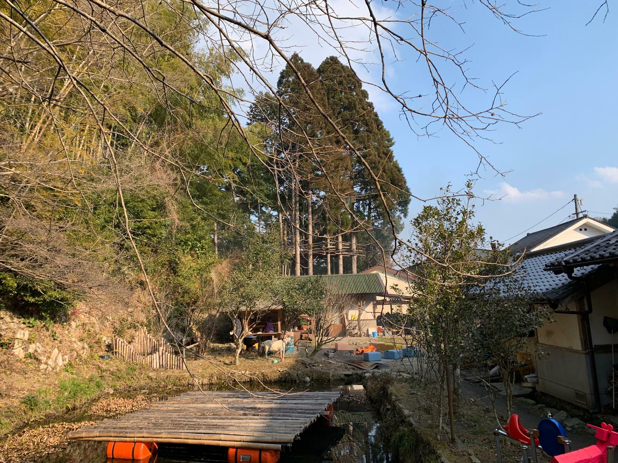 洞春寺の奥には、ヤギさんがいます