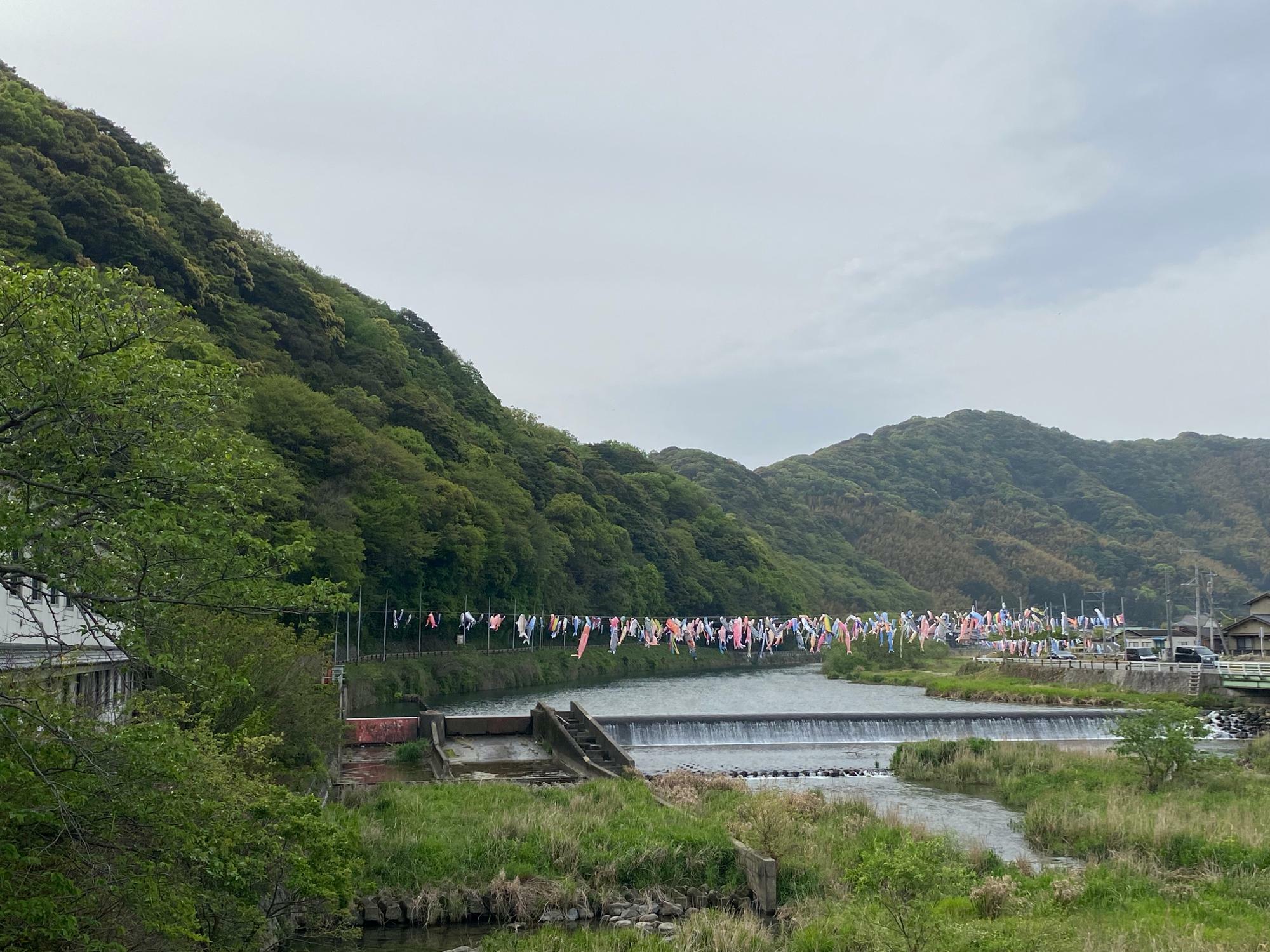 2023年4月19日撮影