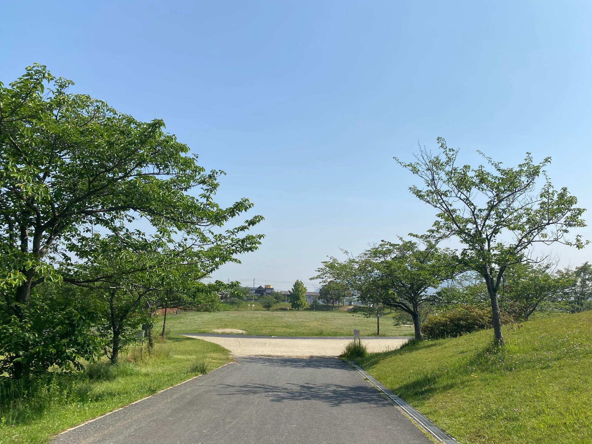 志井公園