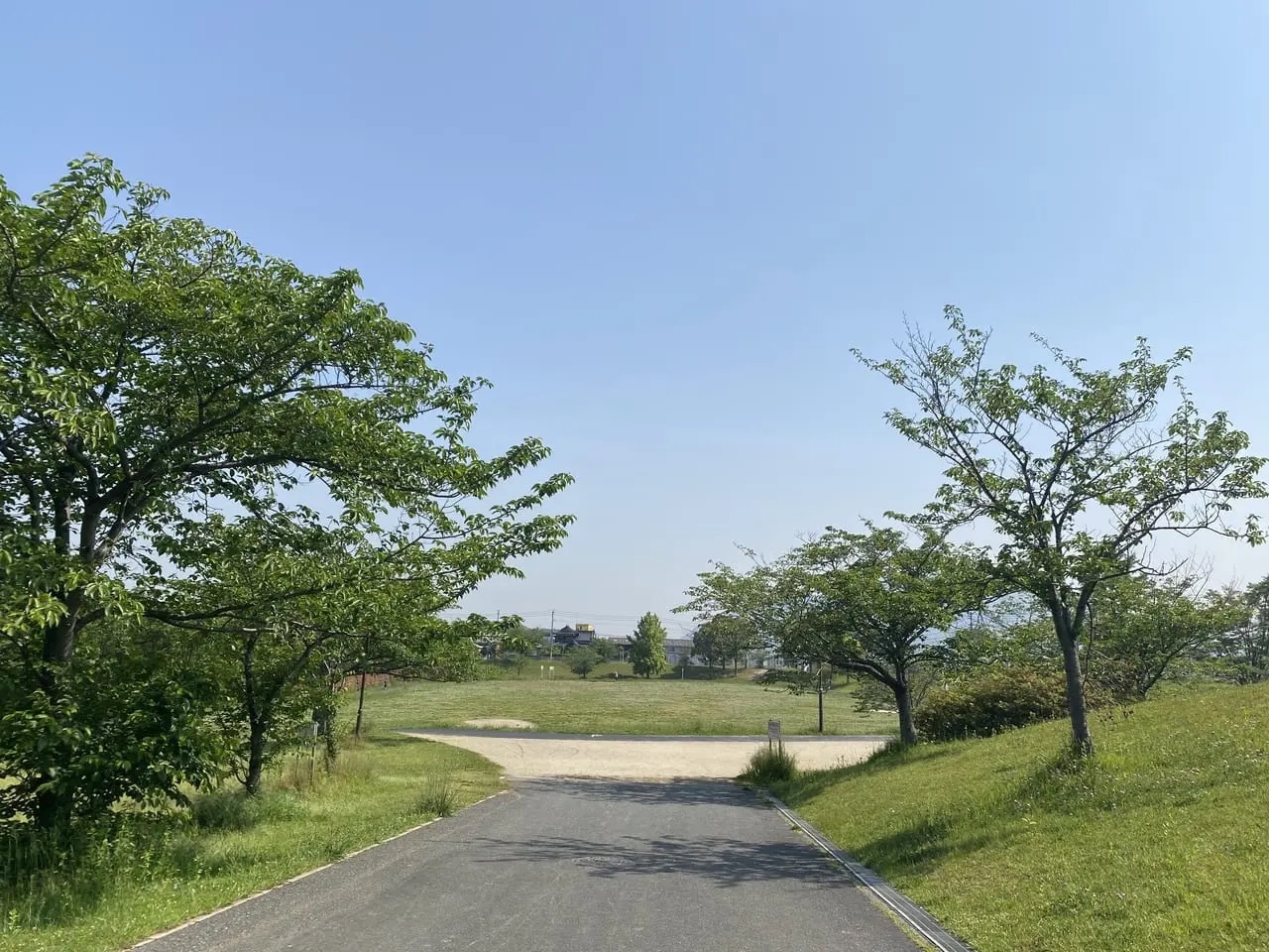 志井公園