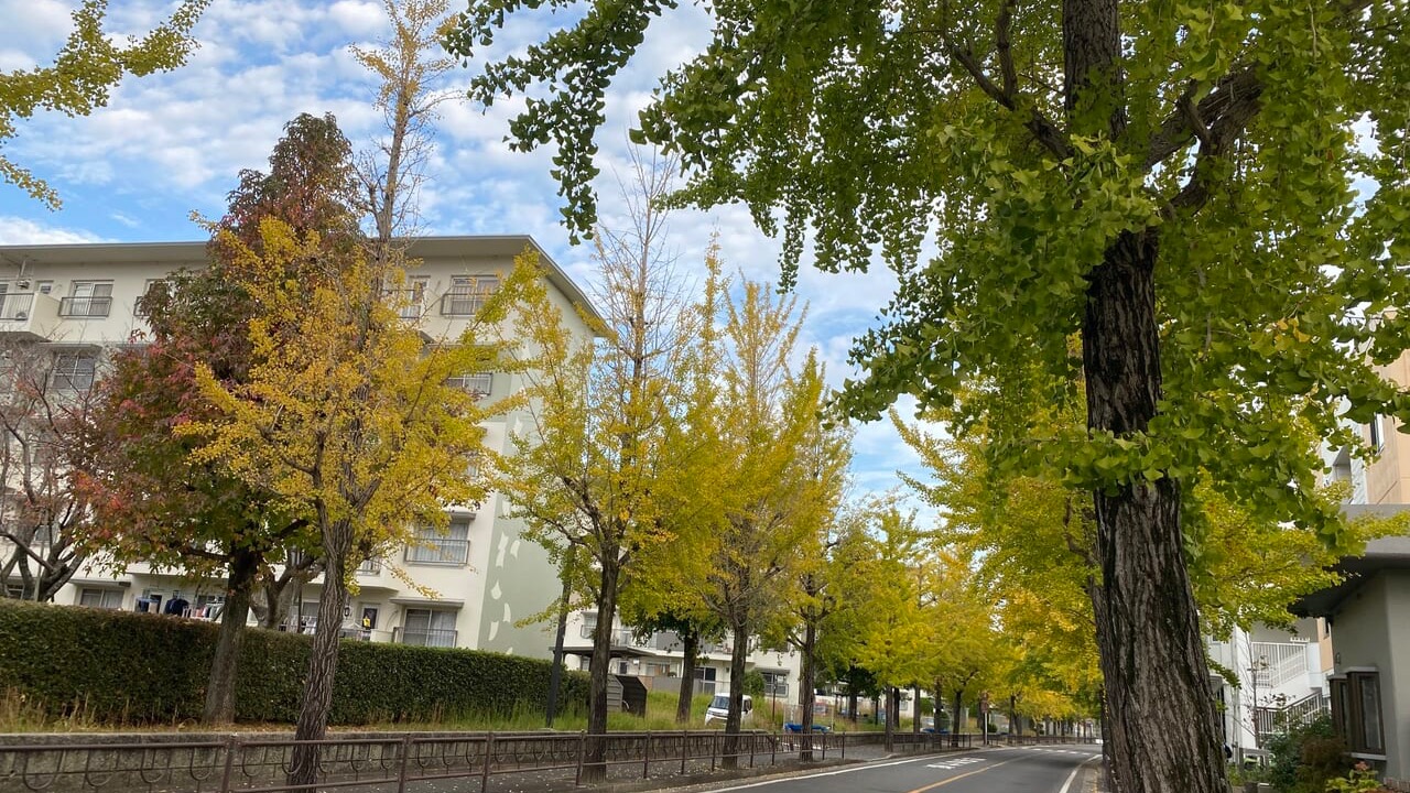 欲しい方是非！北九州市小倉南区 - 福岡県のその他