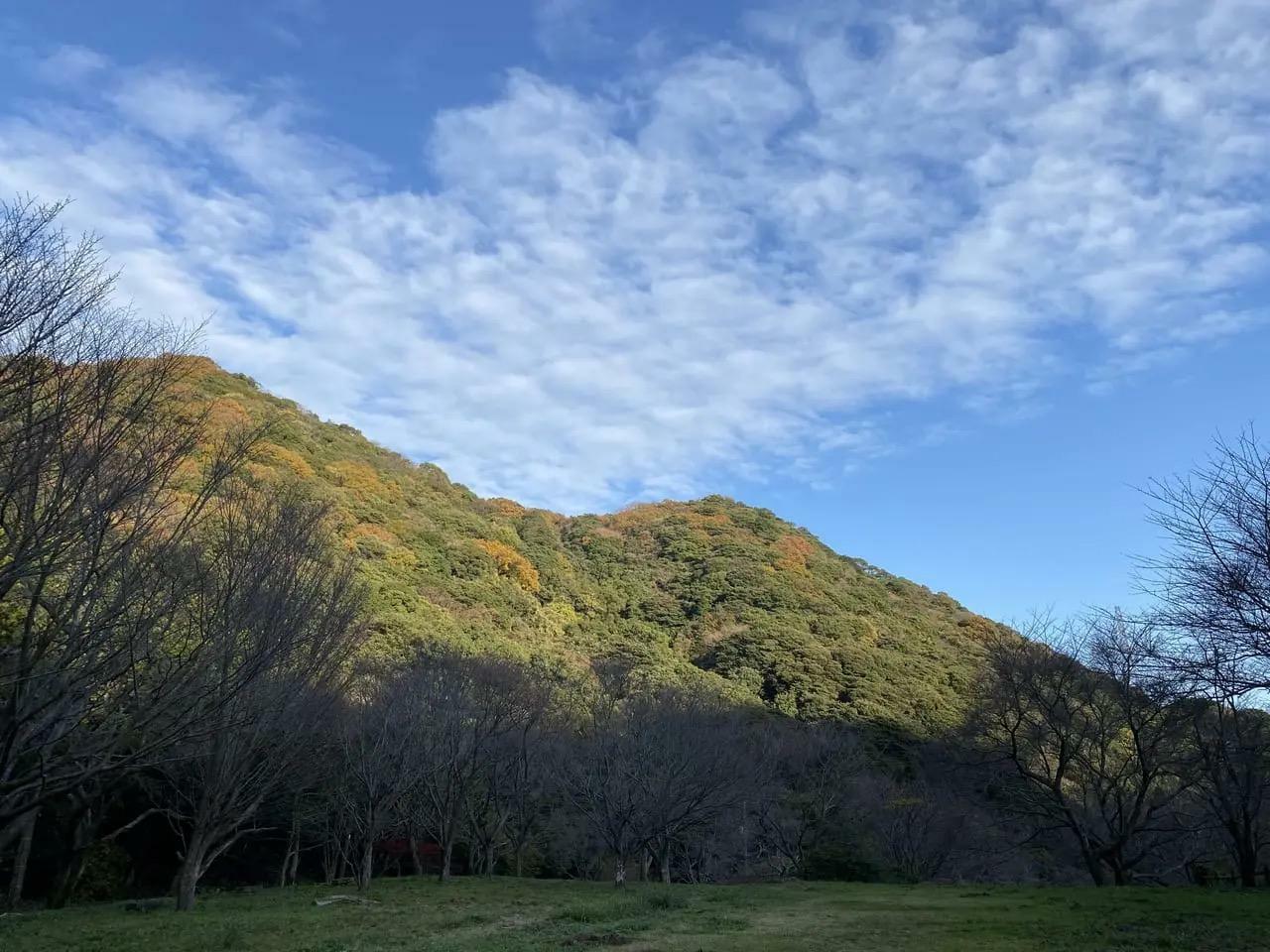 高蔵山（2022年12月撮影）