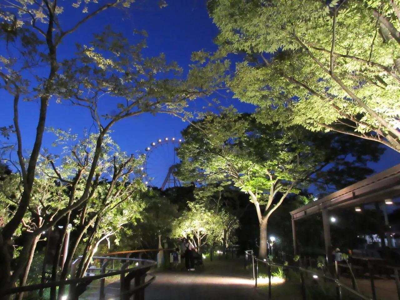 森の中の動物園 北九州市小倉北区】2025年の夏も「Itozu Yoru Zoo ～夜の動物園