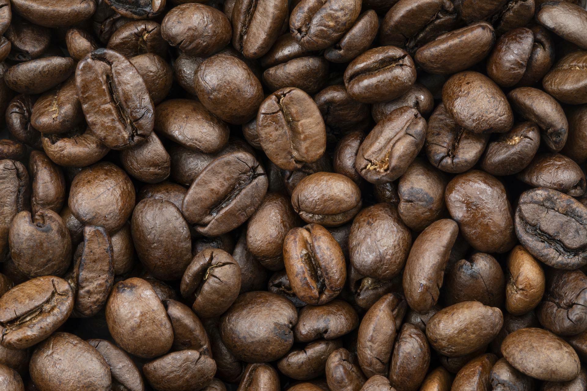 コーヒー豆と言っても様々な種類があります
