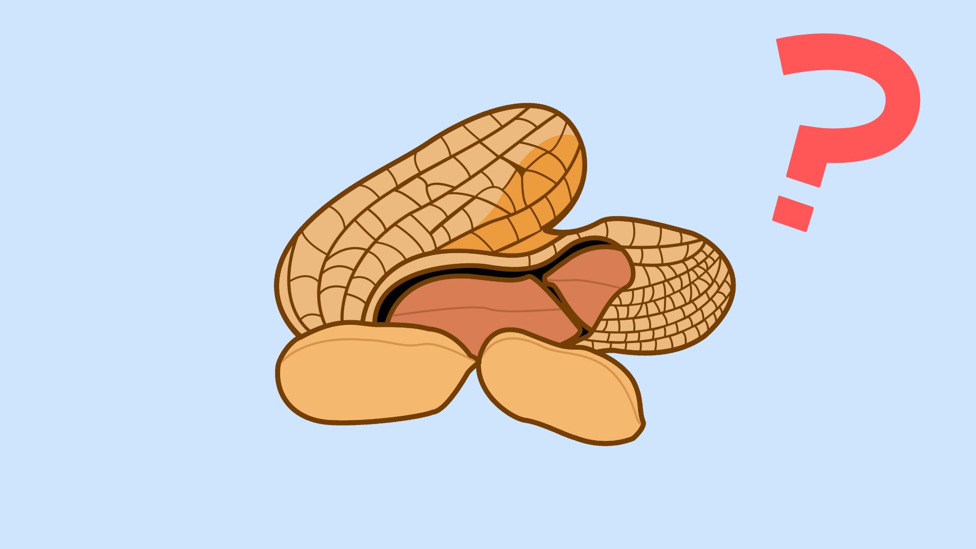 【英語スラング】「You're nuts !」ってどんな意味？（英会話講師 せいたろー） エキスパート Yahoo!ニュース