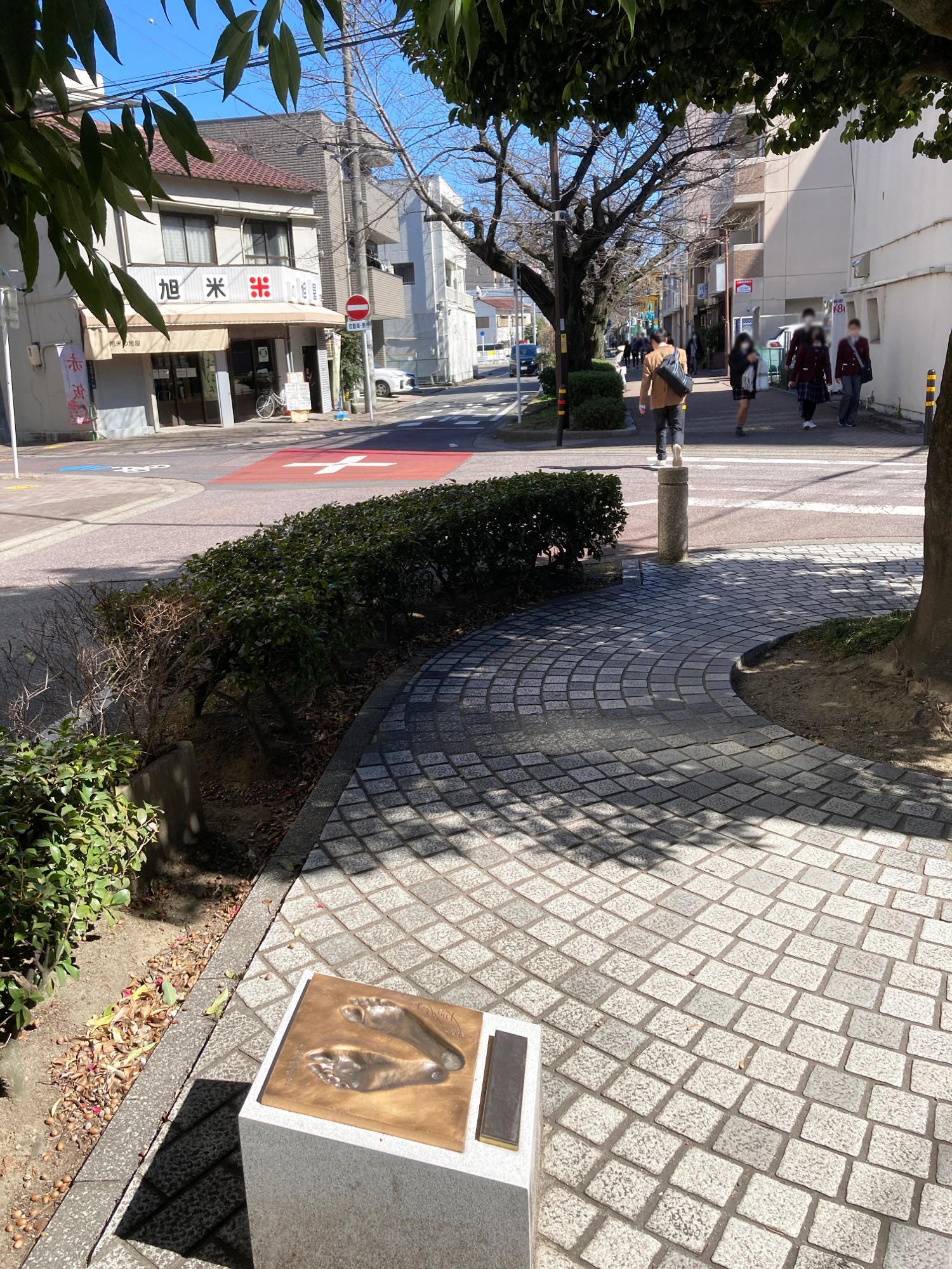 「水道みち緑道」の桜並木