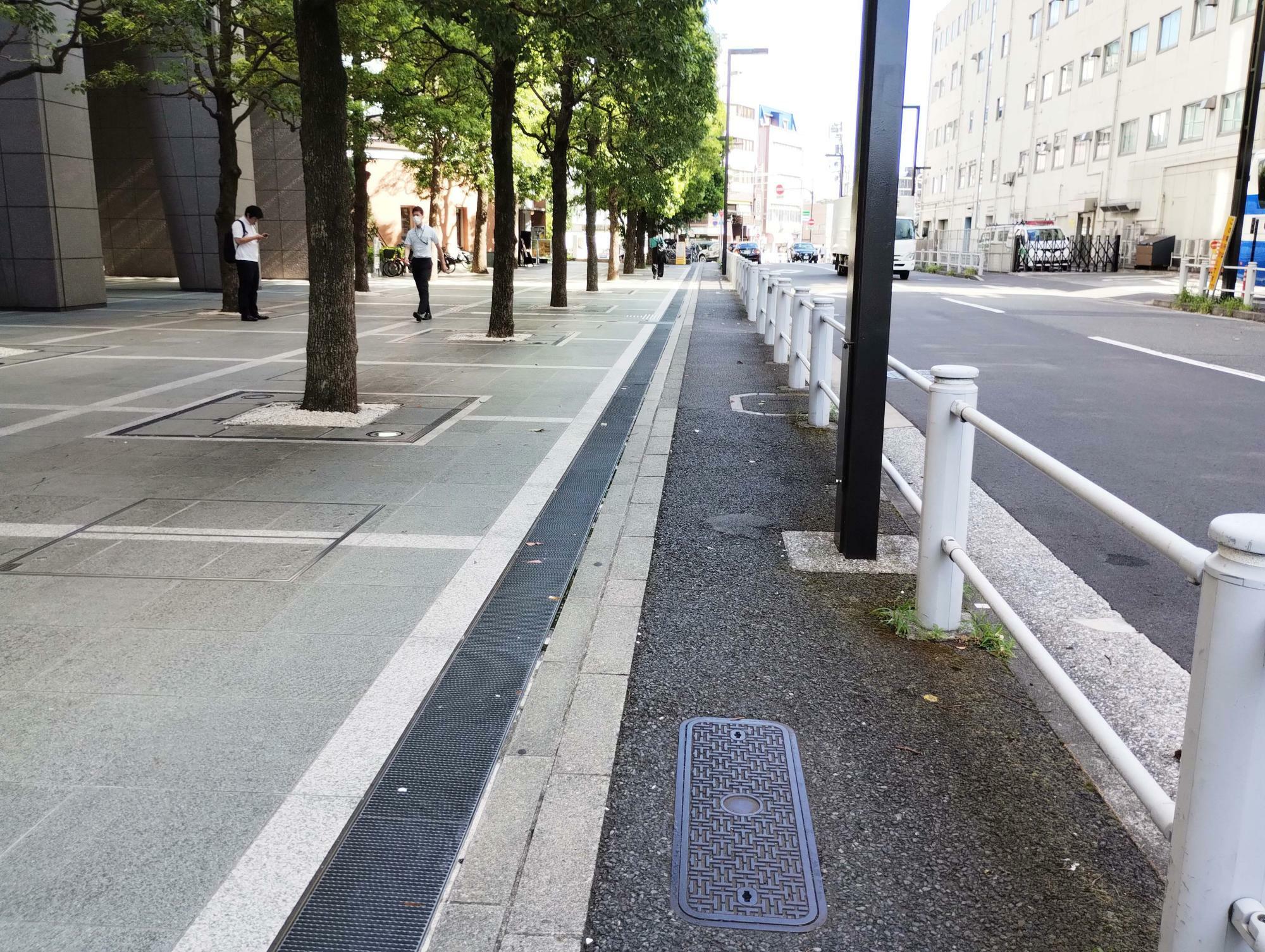 アスファルト部分が歩道です