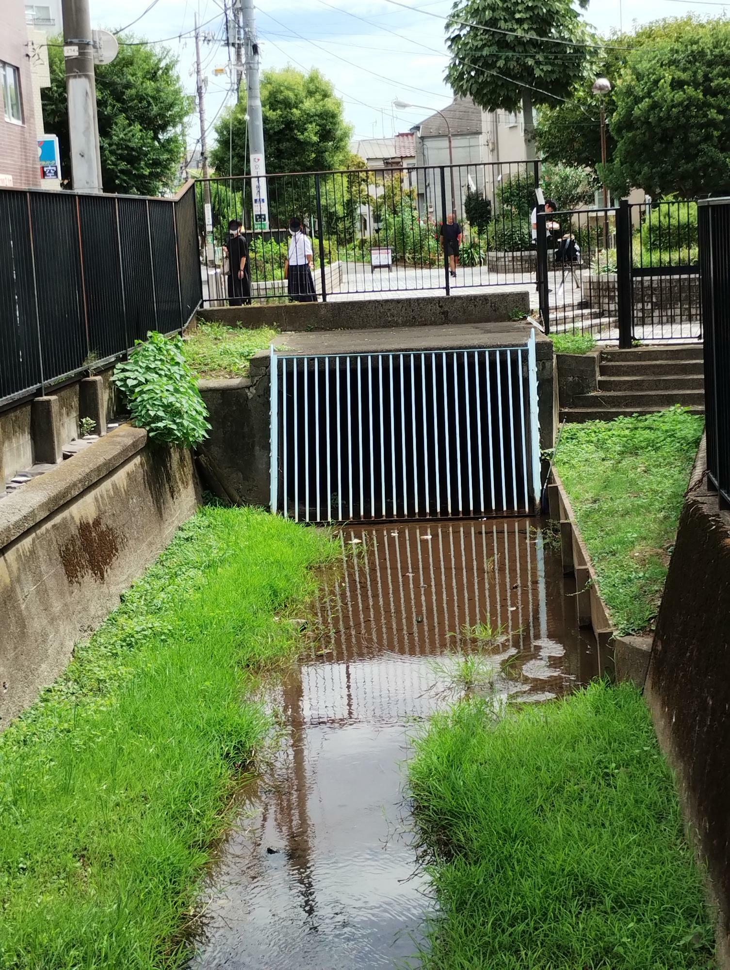 駅前からの水路はここで地下に入ります