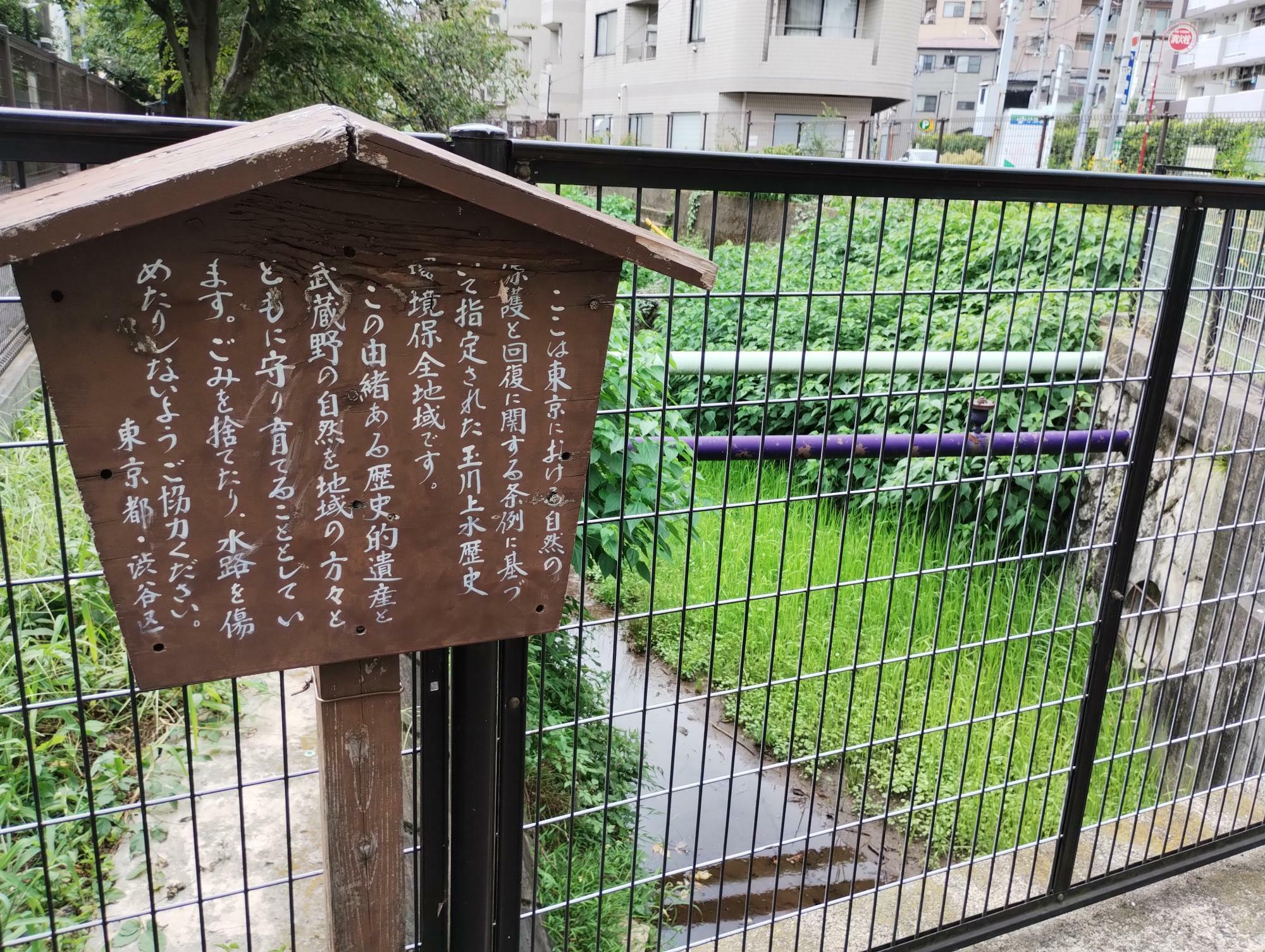 ふたたび地上に出ました