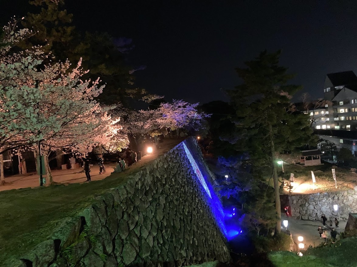 桜と石垣投影