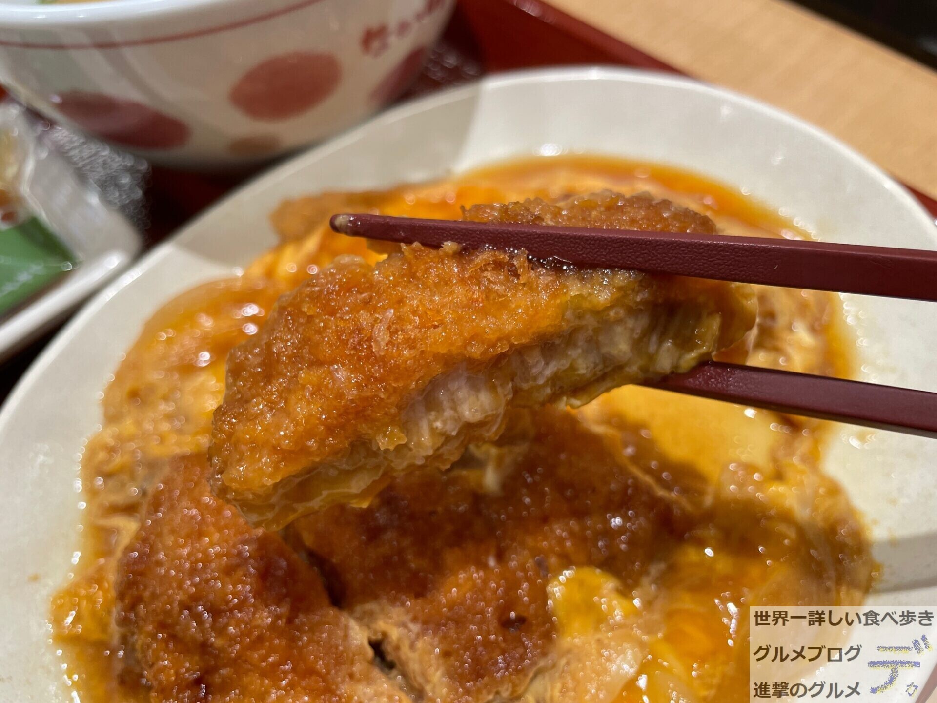 なか卯で「カツとじ皿定食」を注文してみた（進撃のグルメ