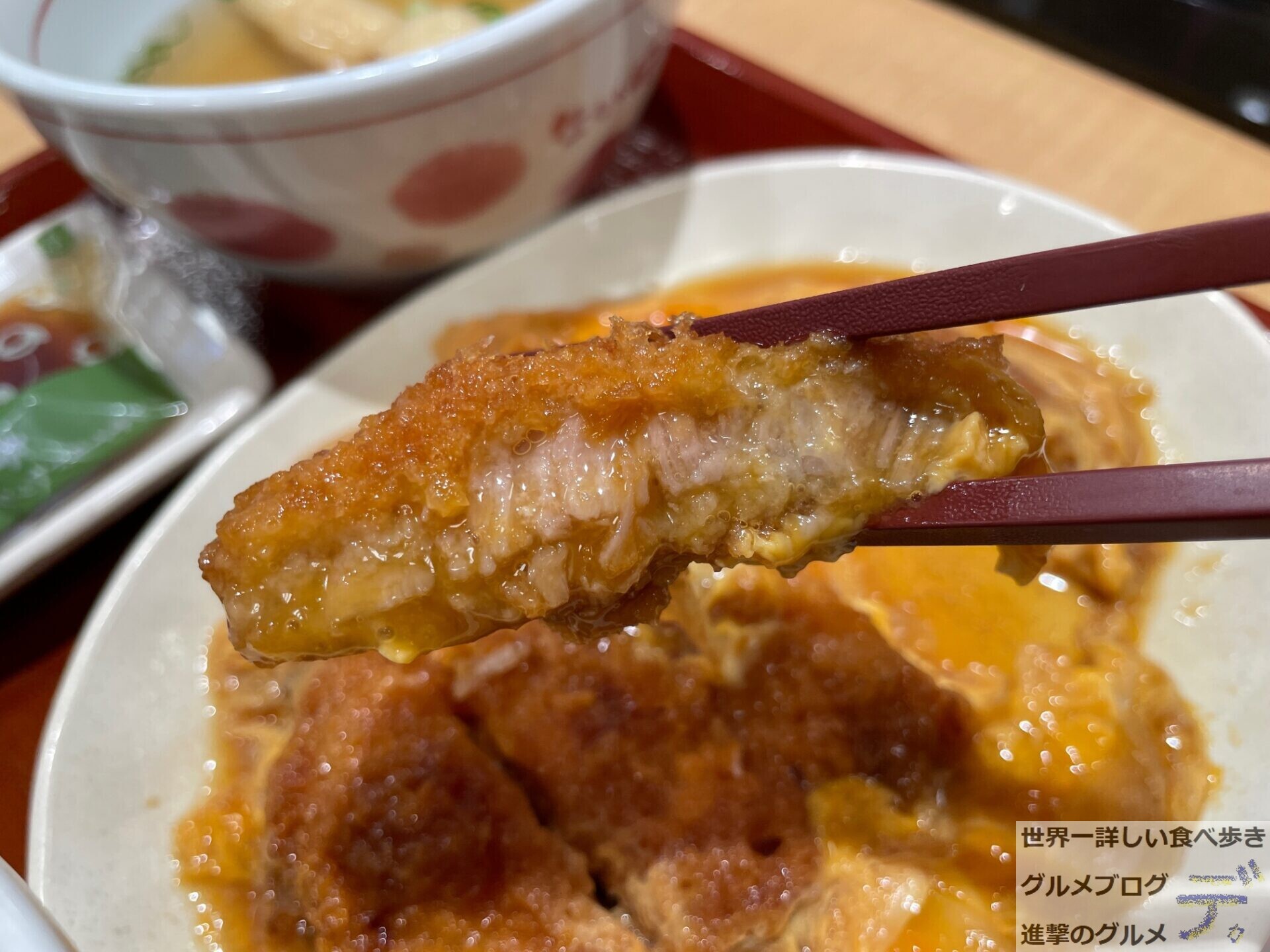 なか卯で「カツとじ皿定食」を注文してみた（進撃のグルメ