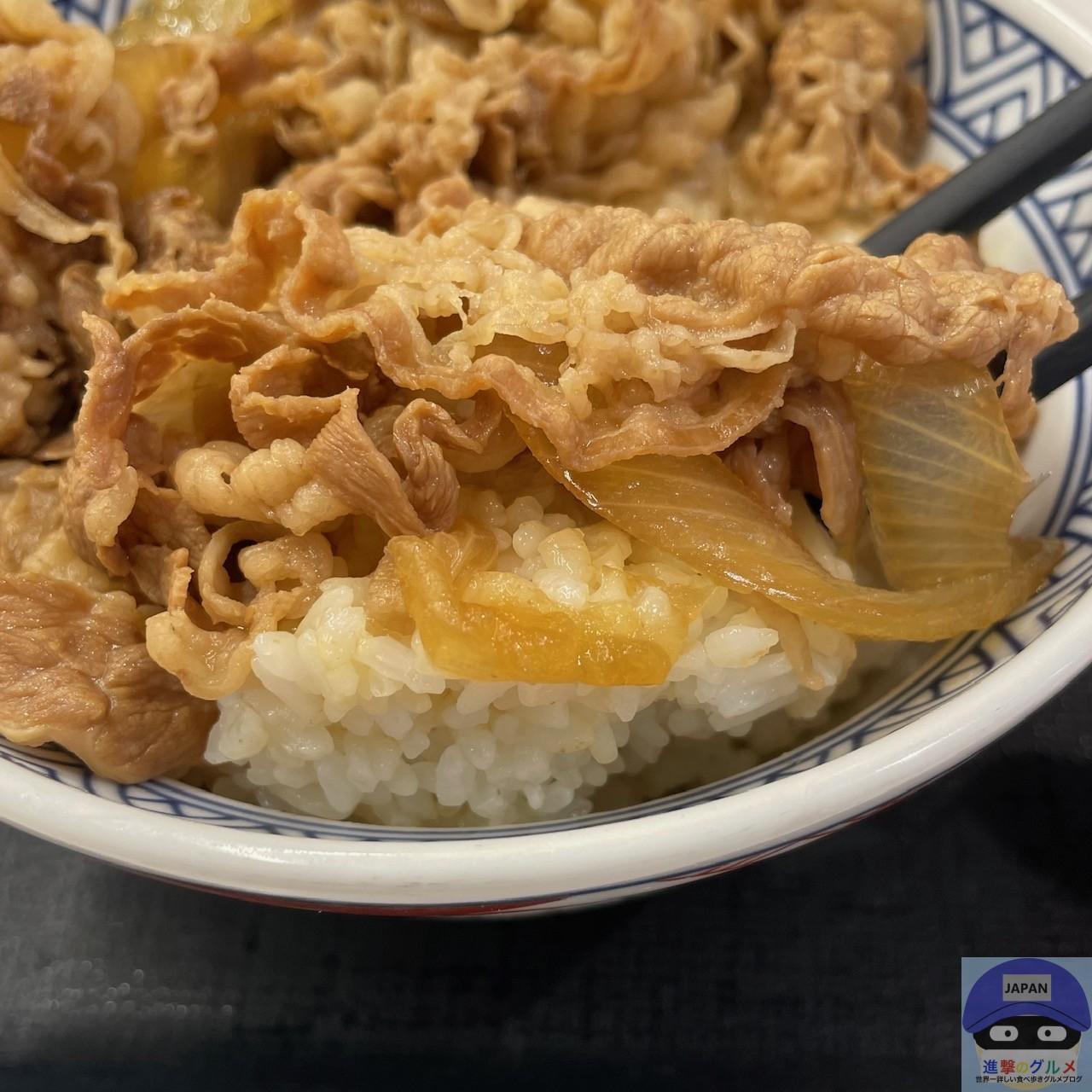 Amazon | 吉野家 新仕様 牛丼 [ 大盛 牛丼の具 / 160g×10袋