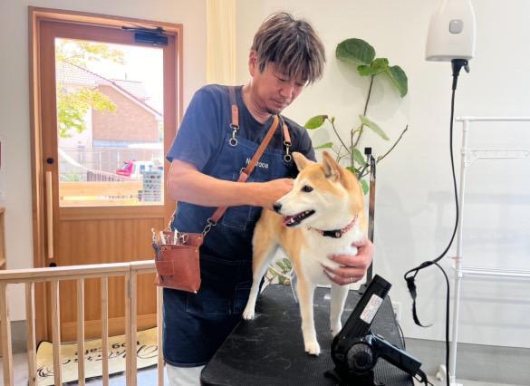 トリミング中のNaturace Dog代表「熊川さん」