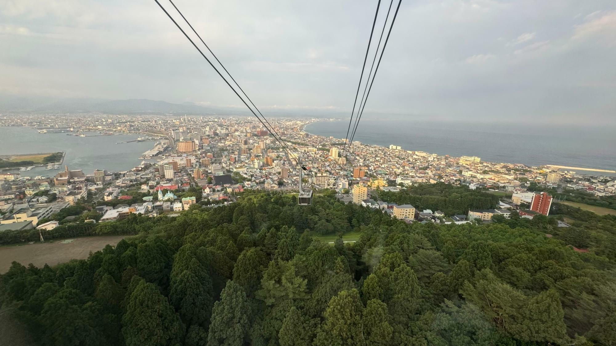 函館山や五稜郭などに連れて行ってくれる。