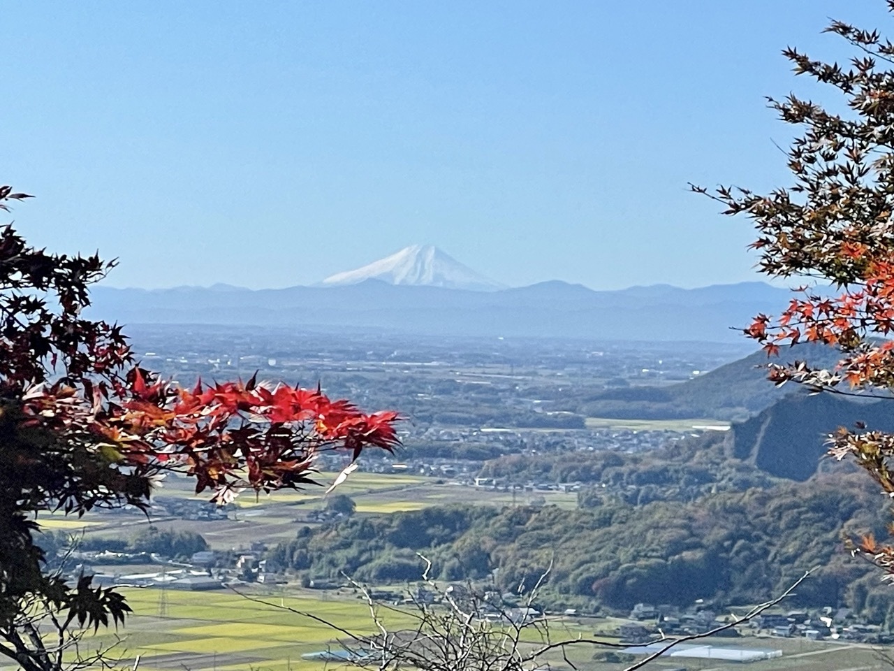 謙信平から望む富士山