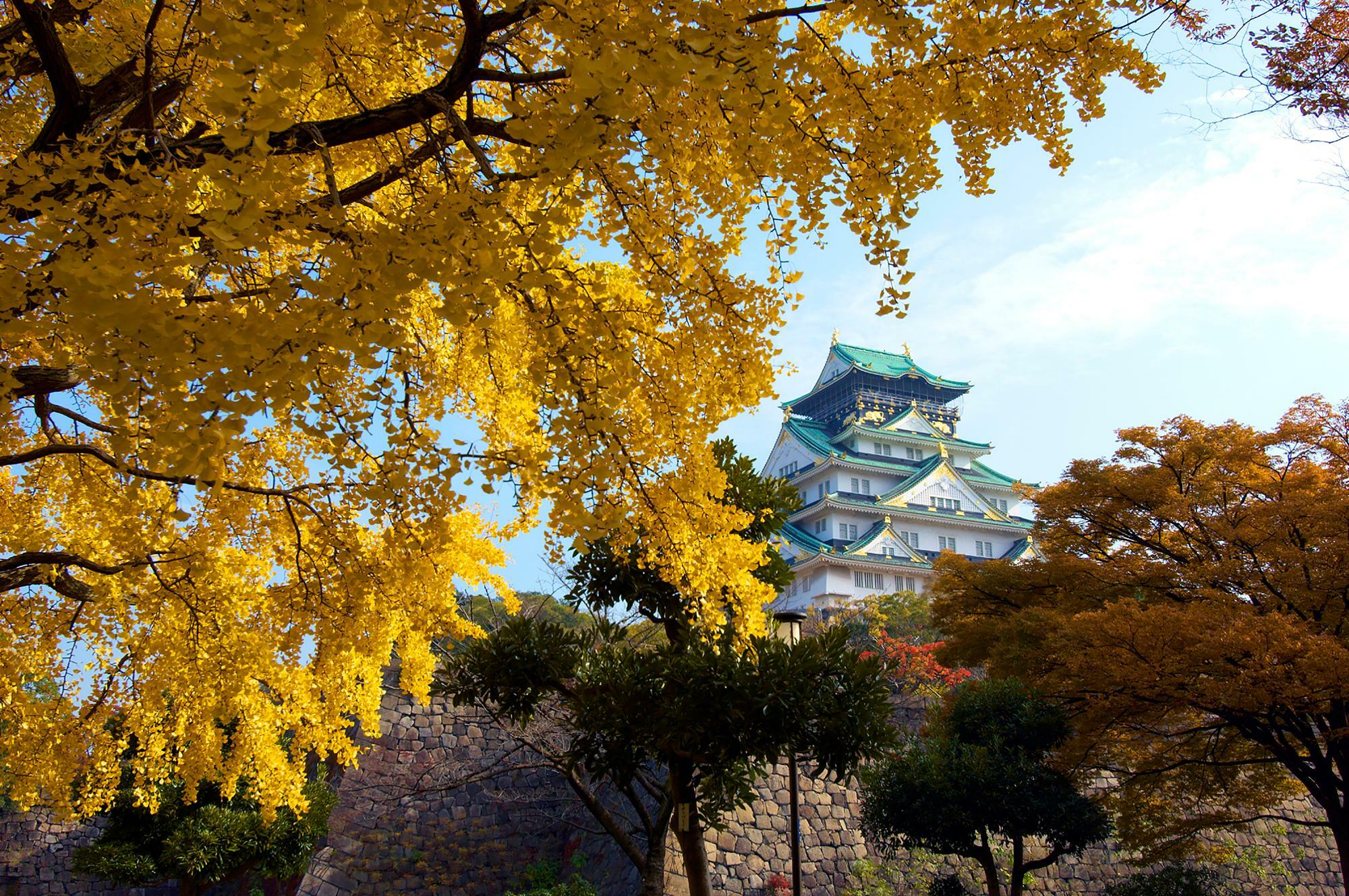 秋の大阪城　提供：ホテルニューオータニ大阪