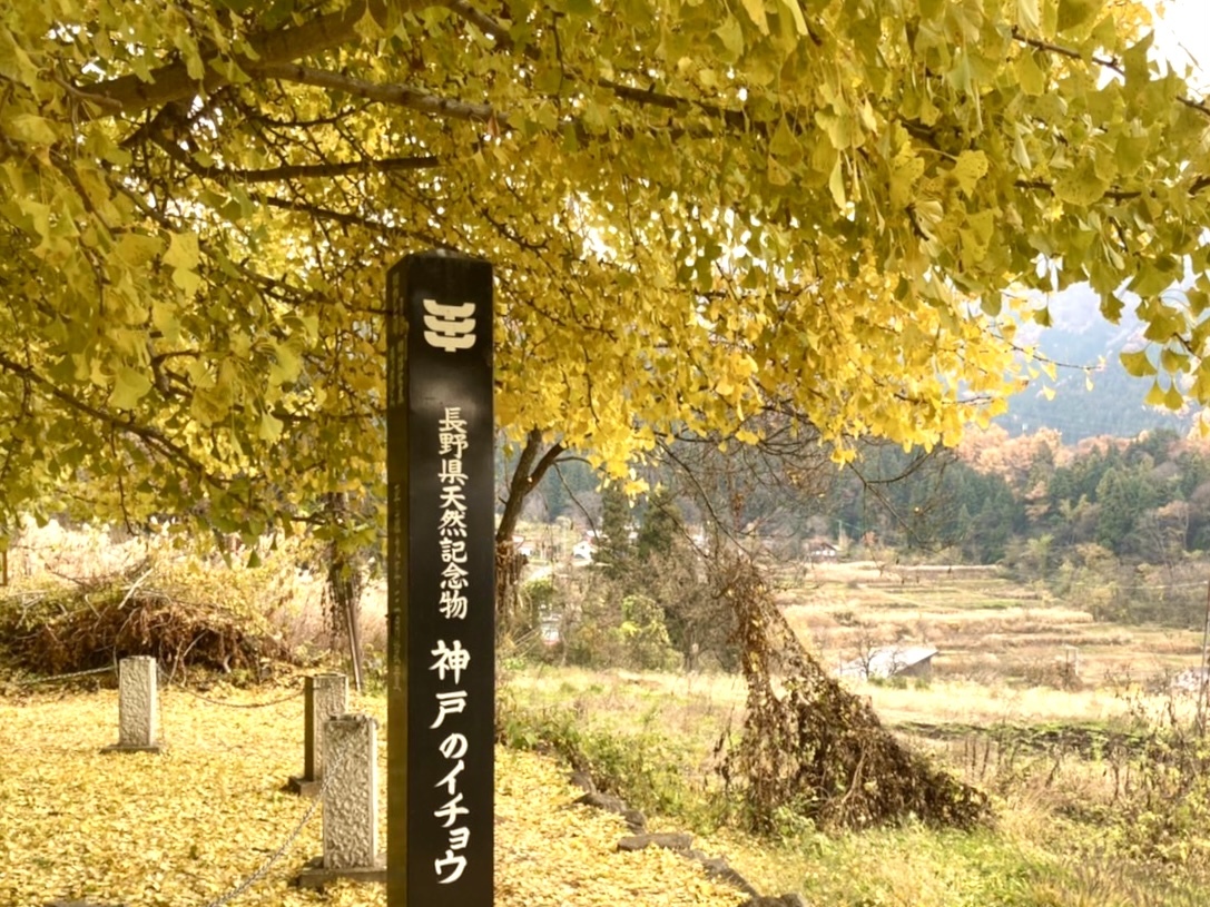 長野県の天然記念物に指定