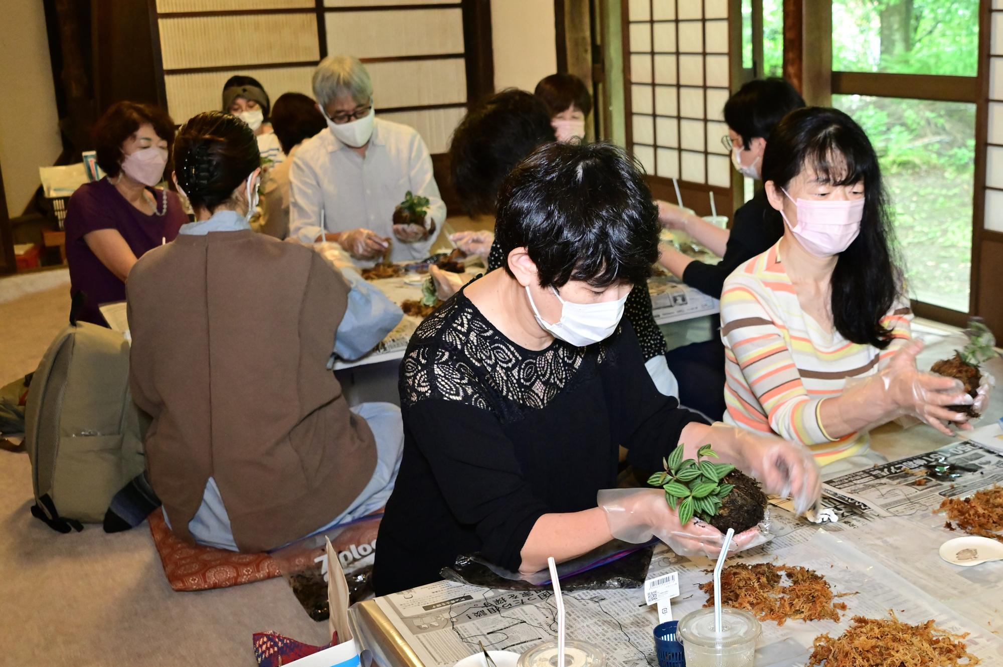 画像提供／厚木市観光協会さん