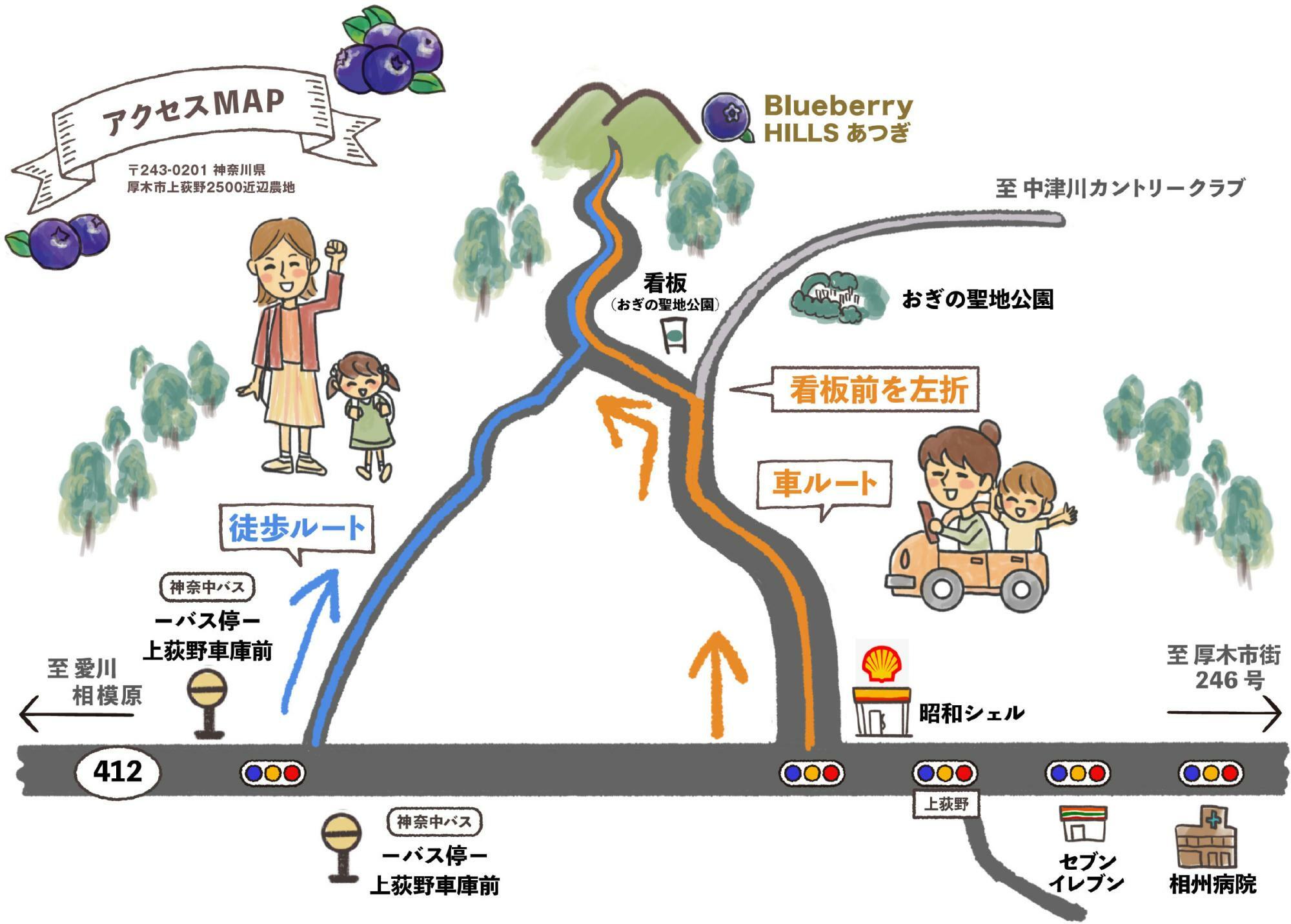 画像提供／厚木市観光協会さん