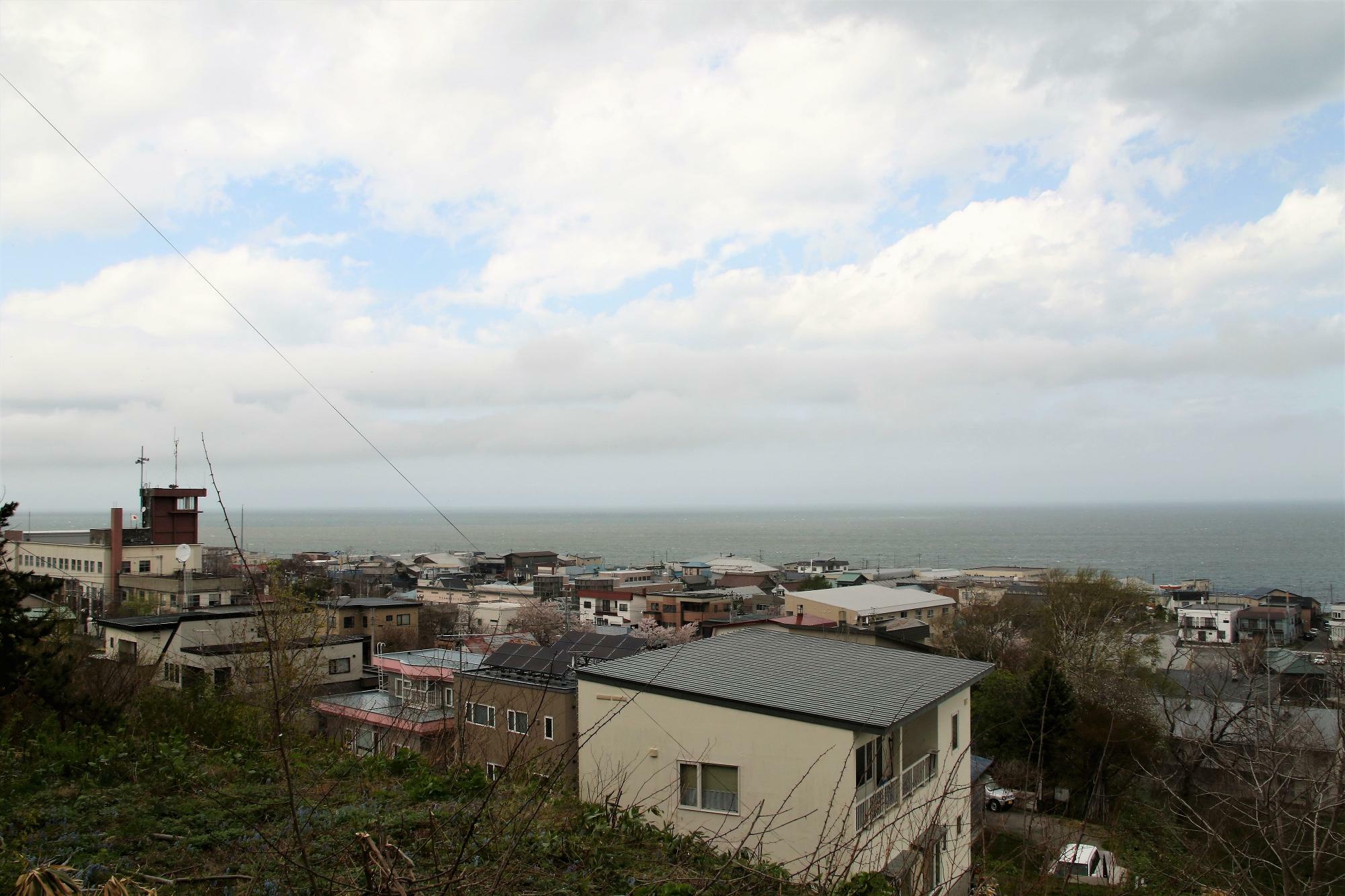 左に増毛町役場が見えます