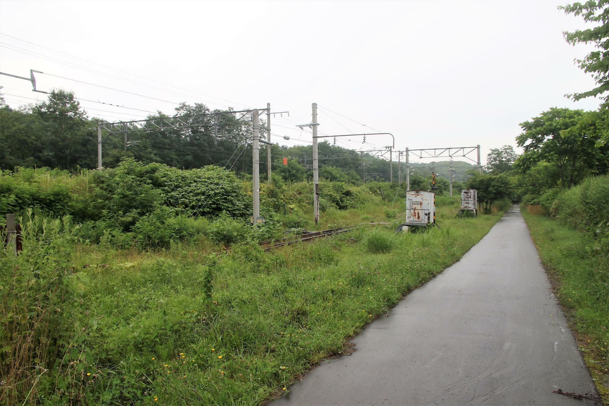 舗装道路は旧函館本線跡を利用したサイクリングロード