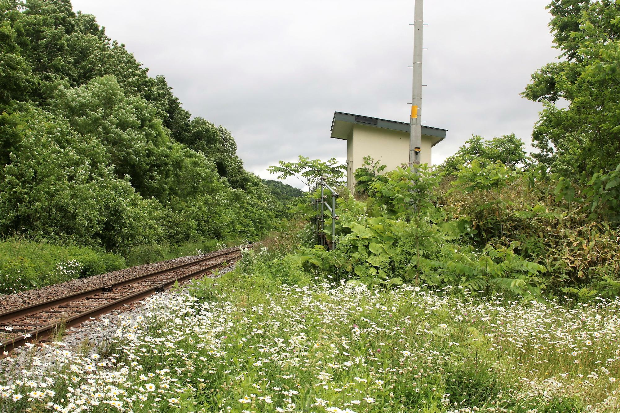 智東駅のホームがかつてあった辺り