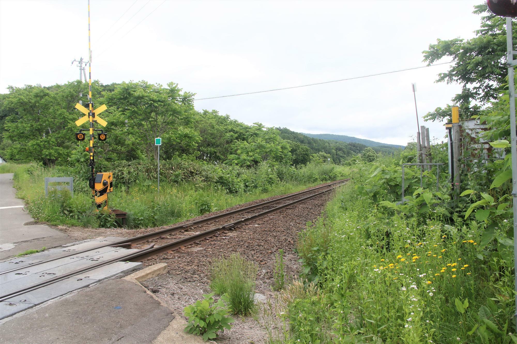 駅は第2美深名寄線踏切の先にあった(智恵文駅側から撮影)