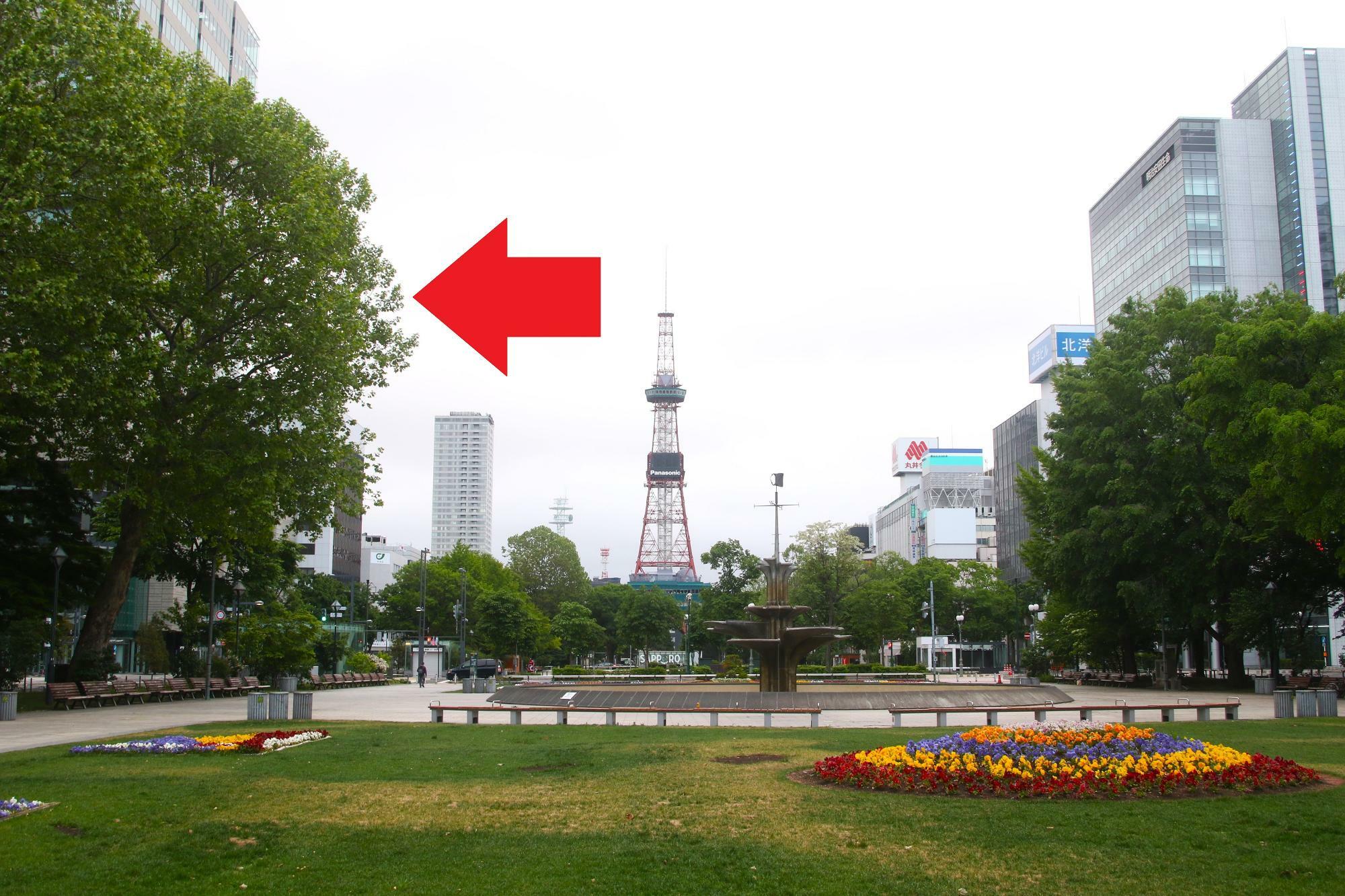 大通公園とテレビ塔。中央バス札幌バスターミナルは左矢印方向