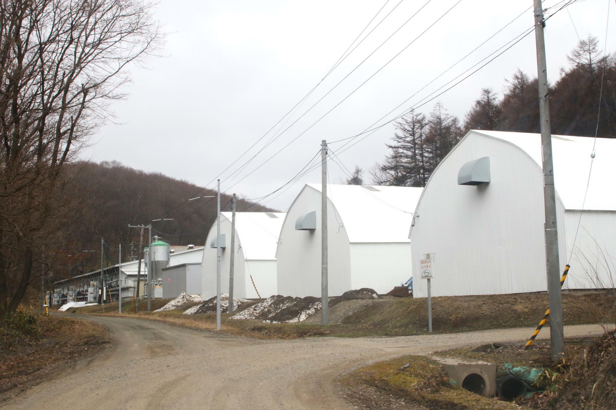 砂利道をしばらく進むと農場が現れる