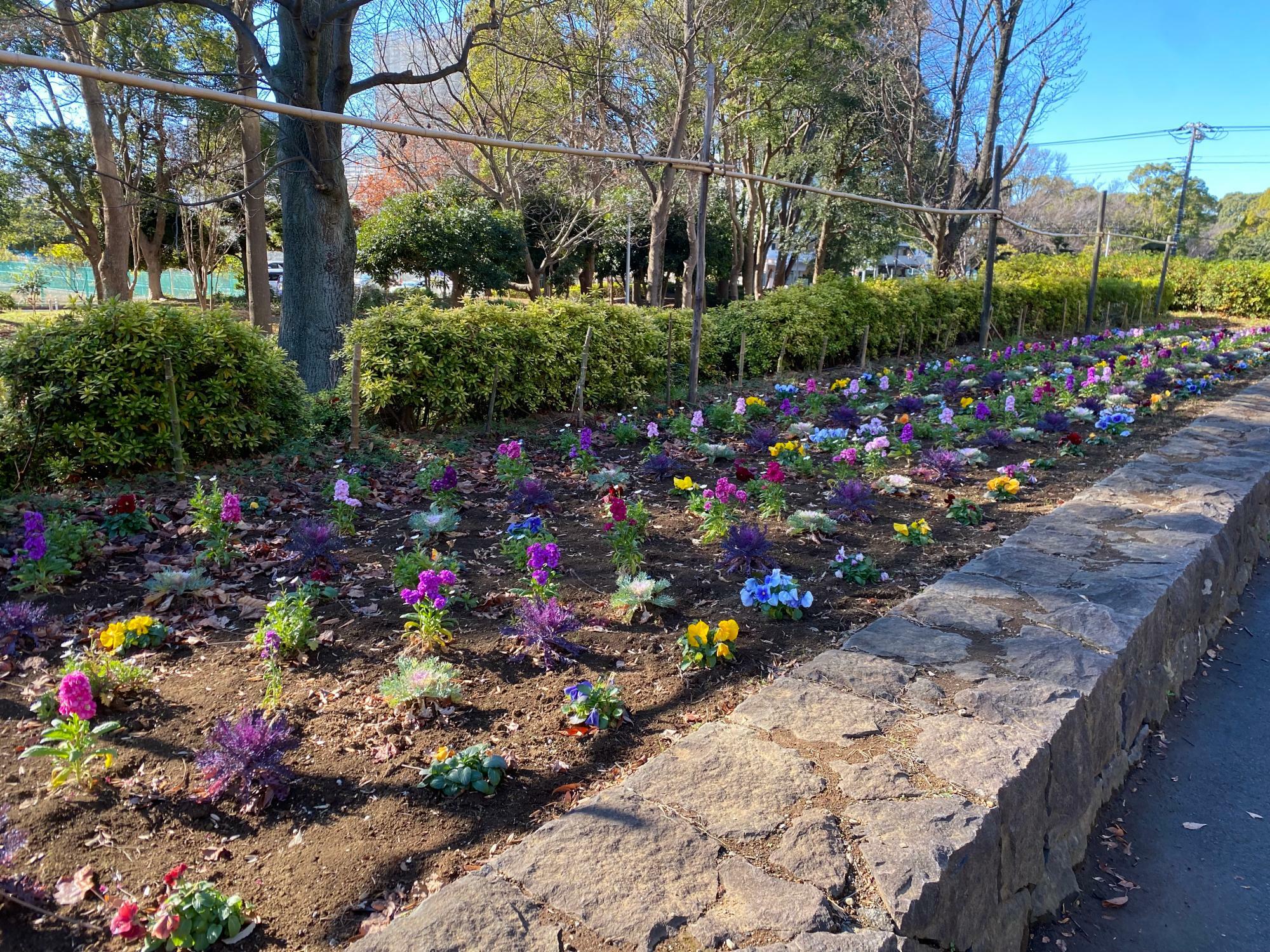 四季を彩る花壇は、地域のボランティアの方々で手入れされています。