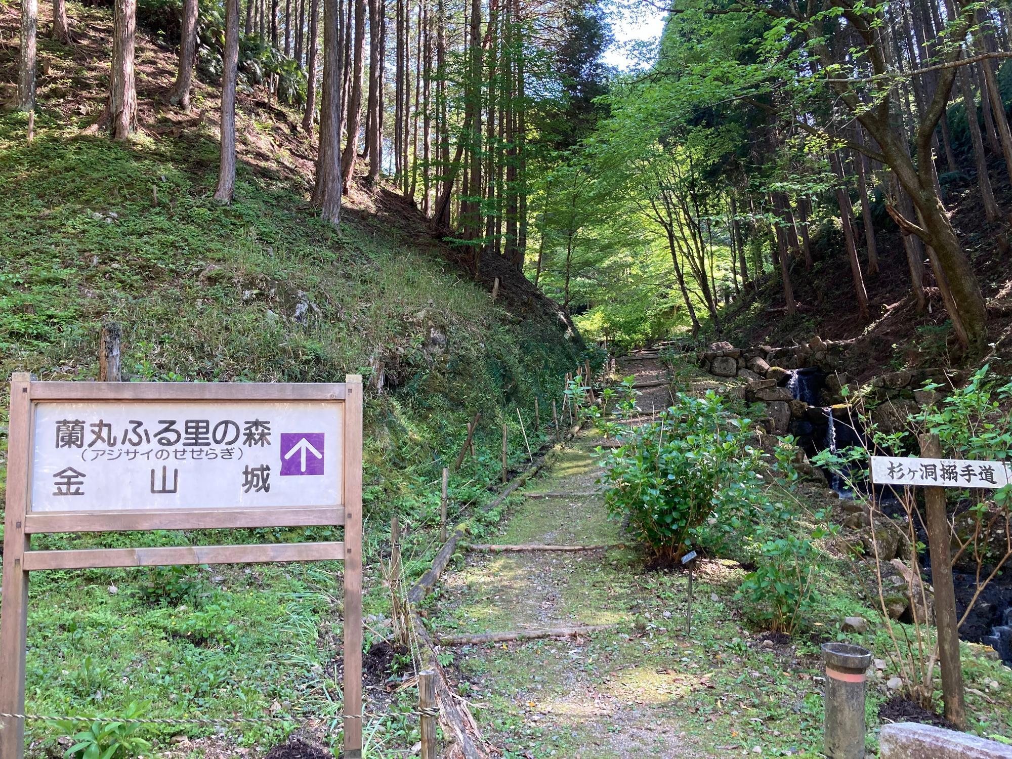 美濃金山城跡（蘭丸ふる里の森）