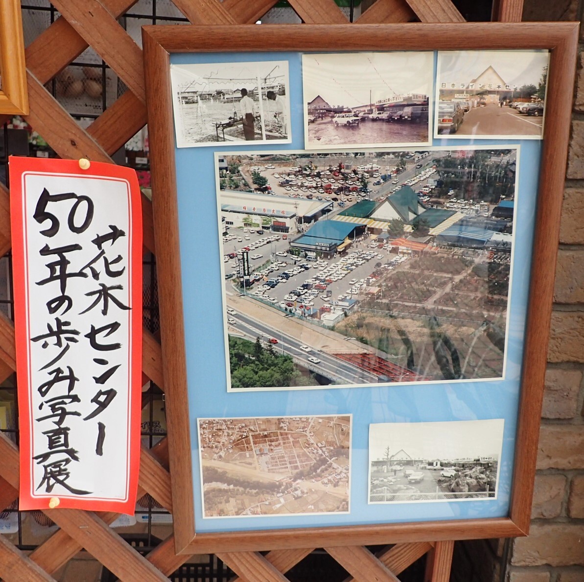 花木センター50年の歩み写真展