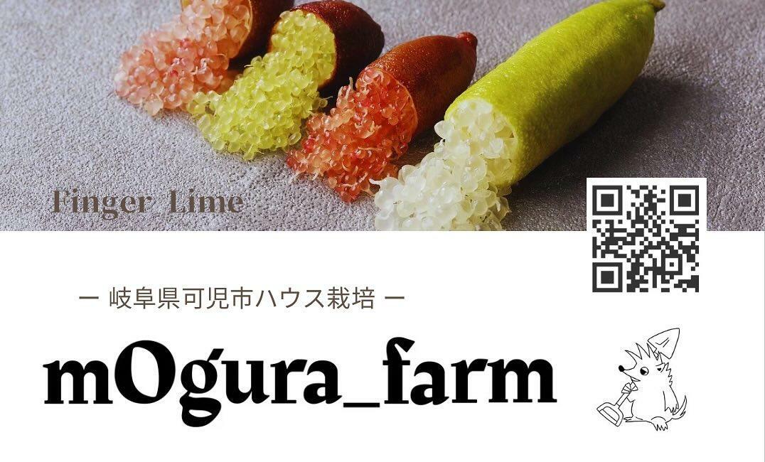 提供・mOgura_farm様