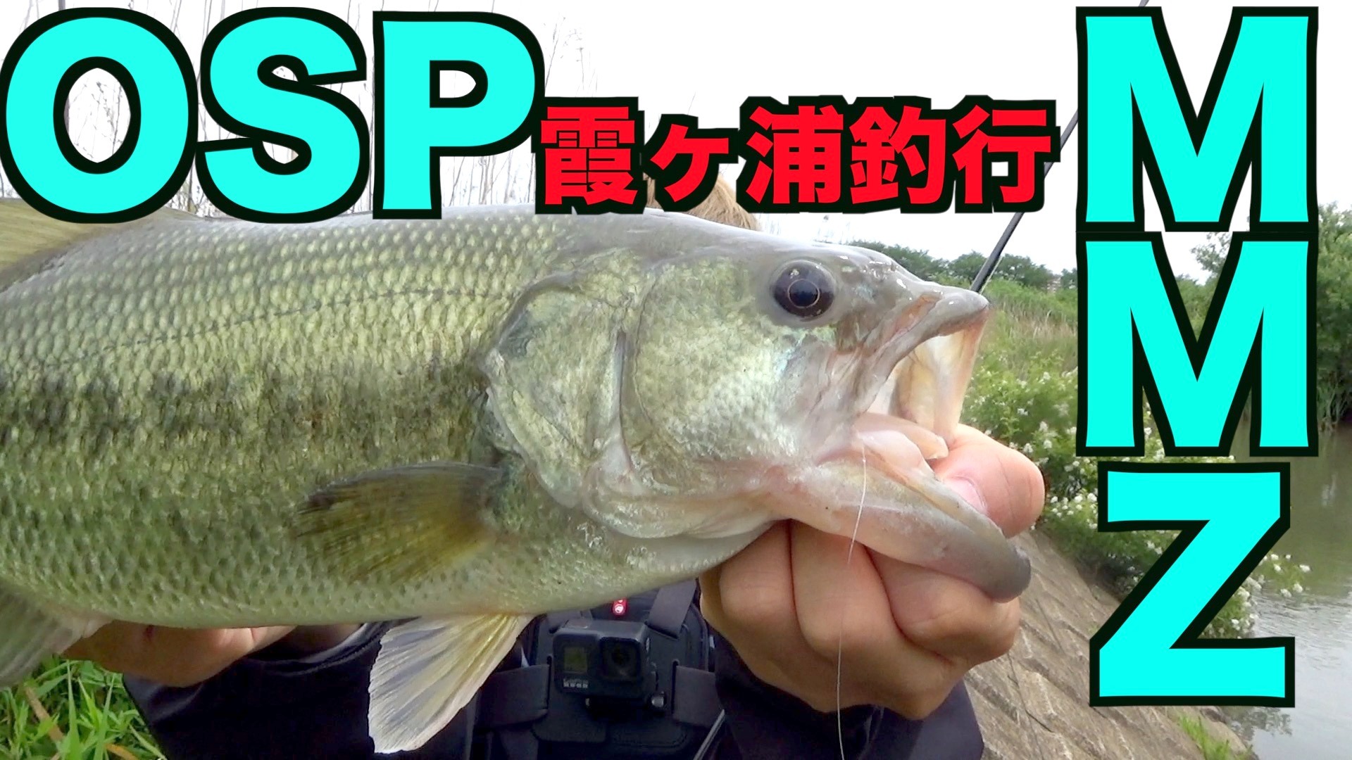 最新バス釣りルアーOSP「MMZ」を使って霞ヶ浦バス釣り釣行で思い 最新バス釣りルアーOSP「MMZ」を使って霞ヶ浦バス釣り釣行で思い