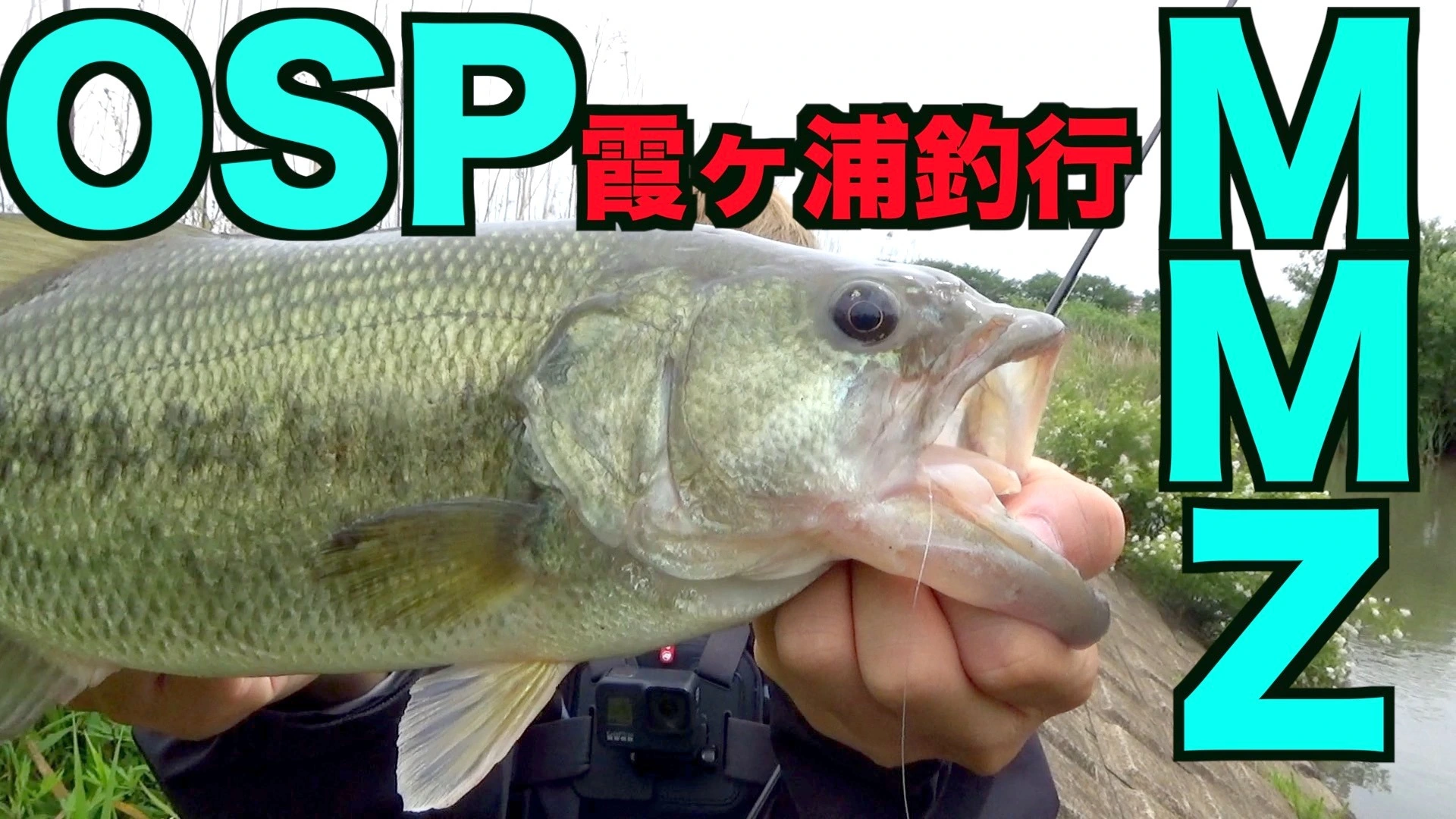 最新バス釣りルアーOSP「MMZ」を使って霞ヶ浦バス釣り釣行で 