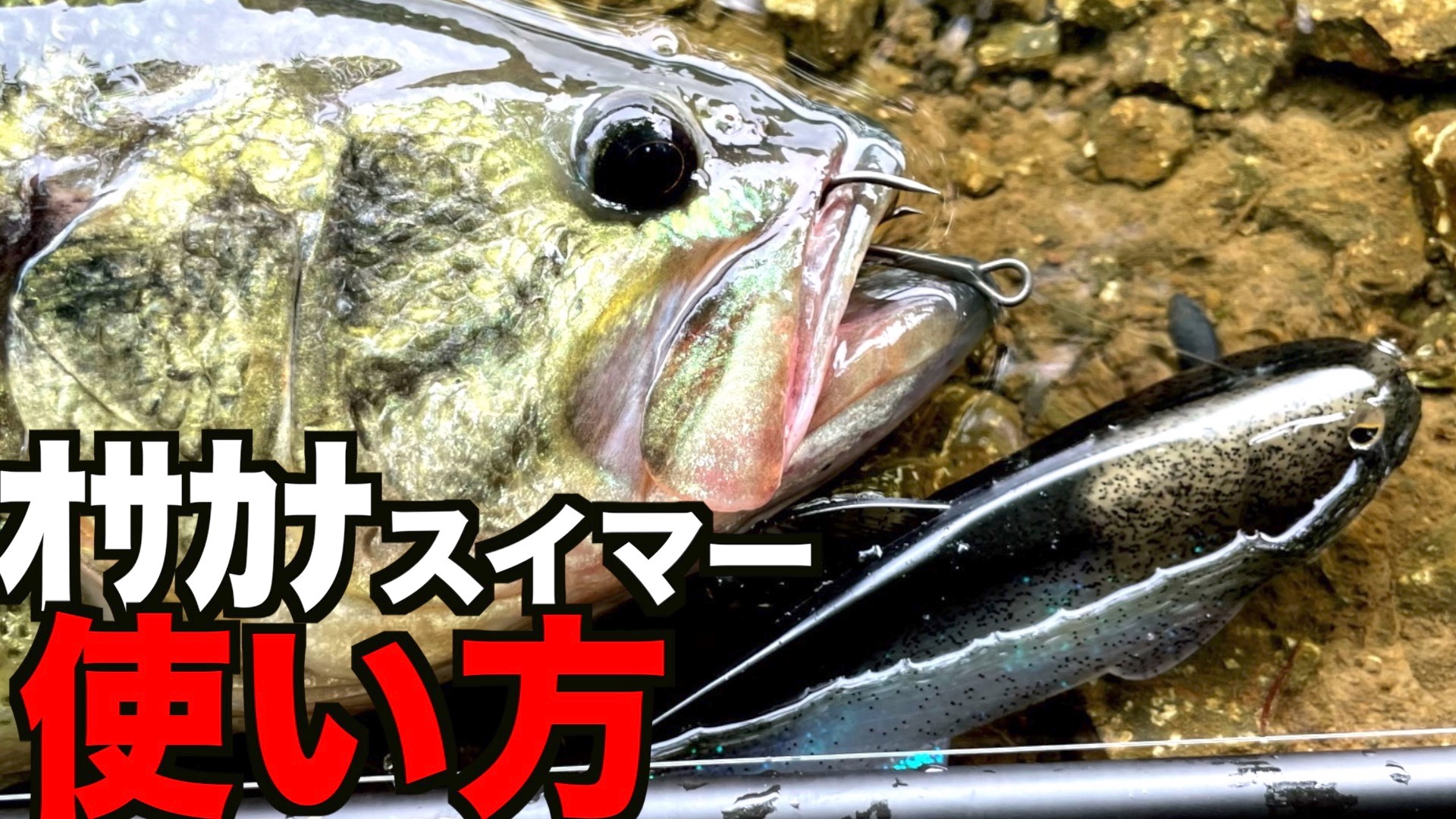 RAIDJAPAN最新ルアー「オサカナスイマー145」のえぐい使い方教え RAIDJAPAN最新ルアー「オサカナスイマー145」のえぐい使い方教え