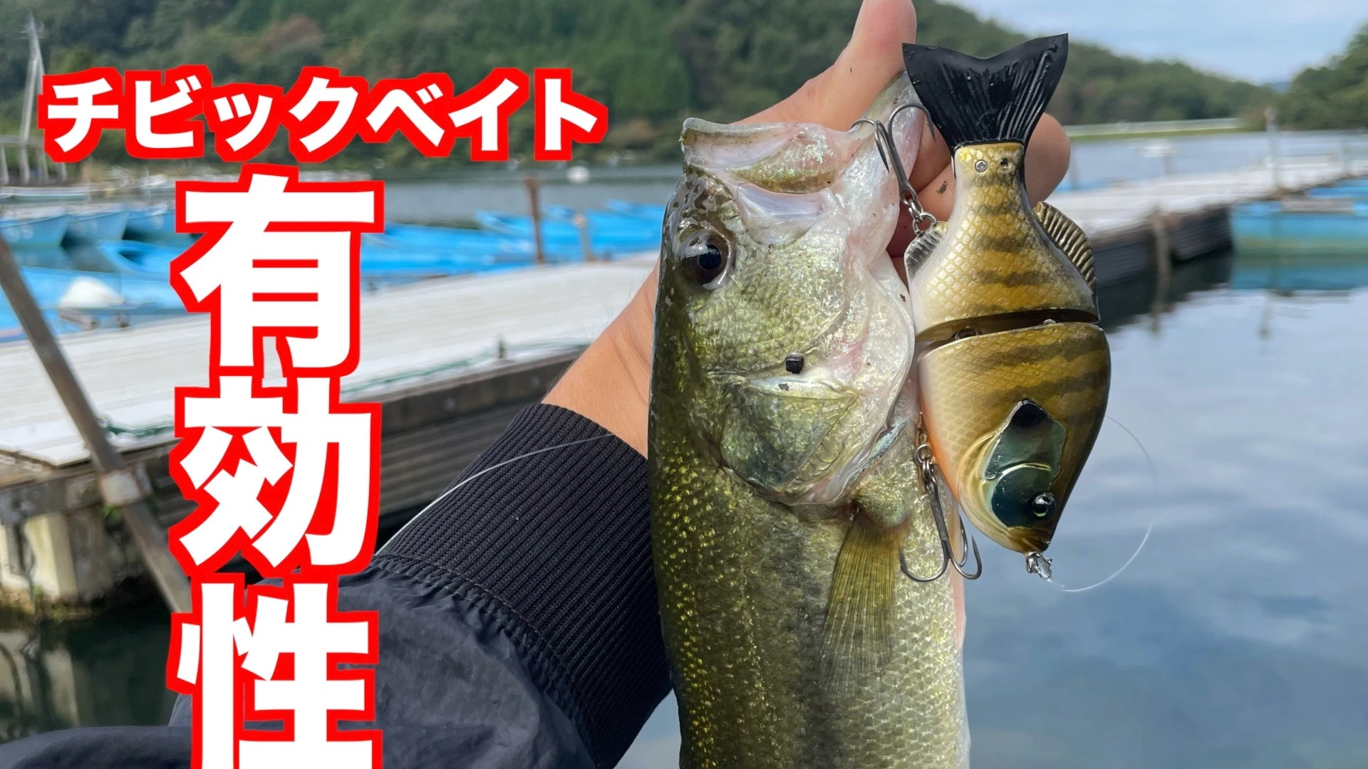 バス釣り陸っぱりに必要不可欠な小さなビッグベイトサイズが熱いその